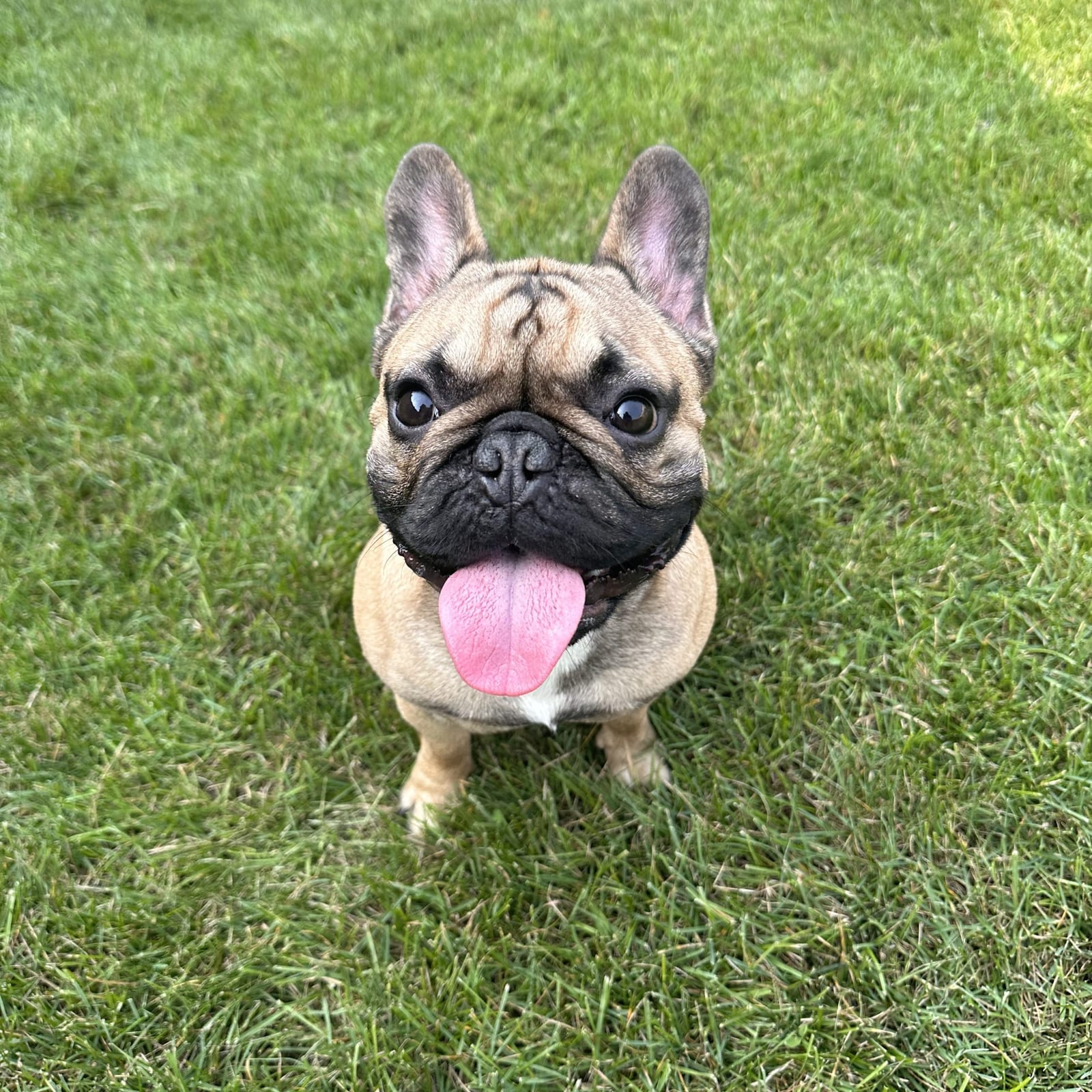 Mack