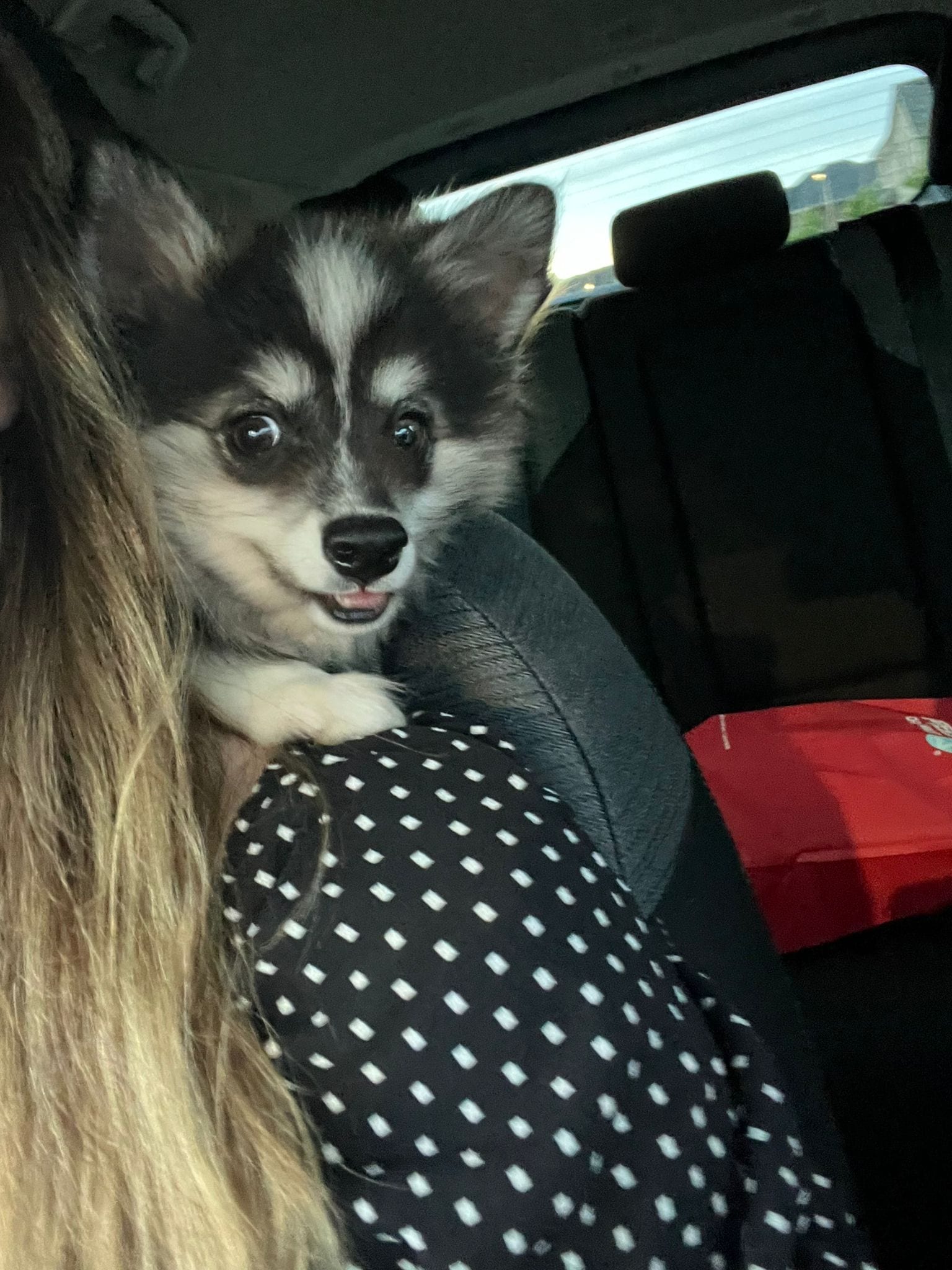 Coco