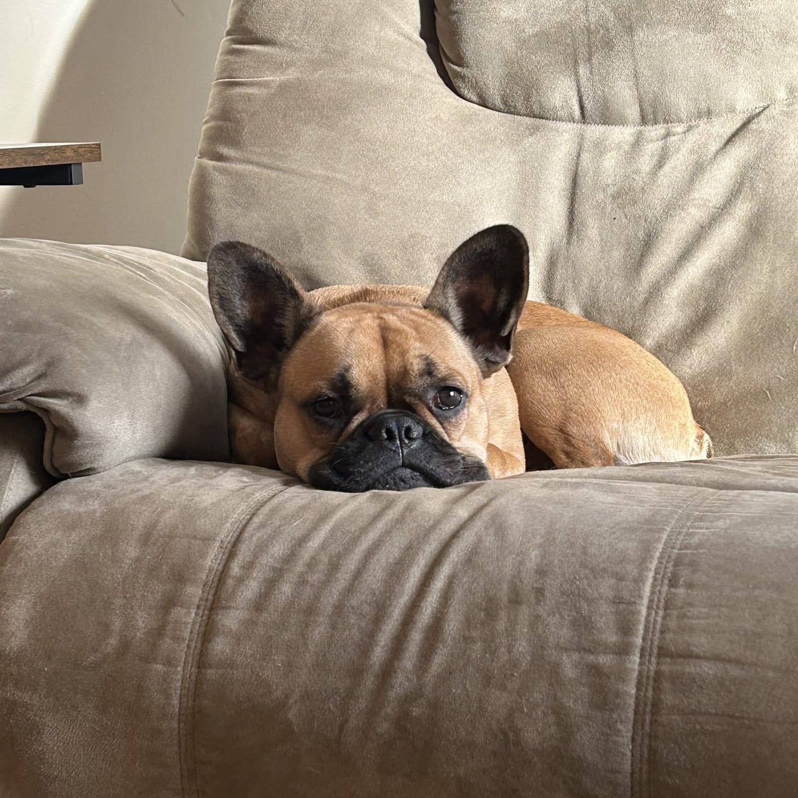 Franklin