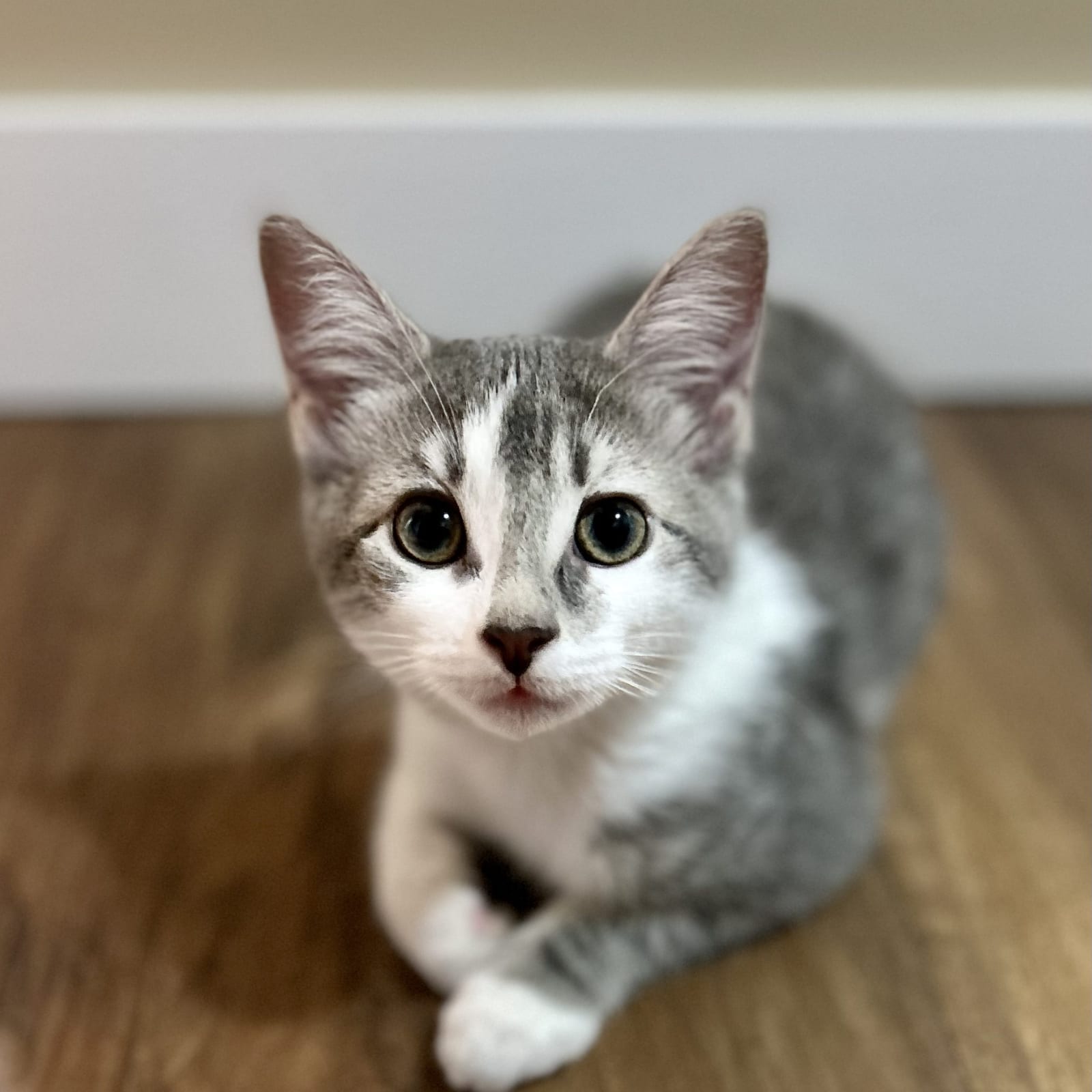 Winnie