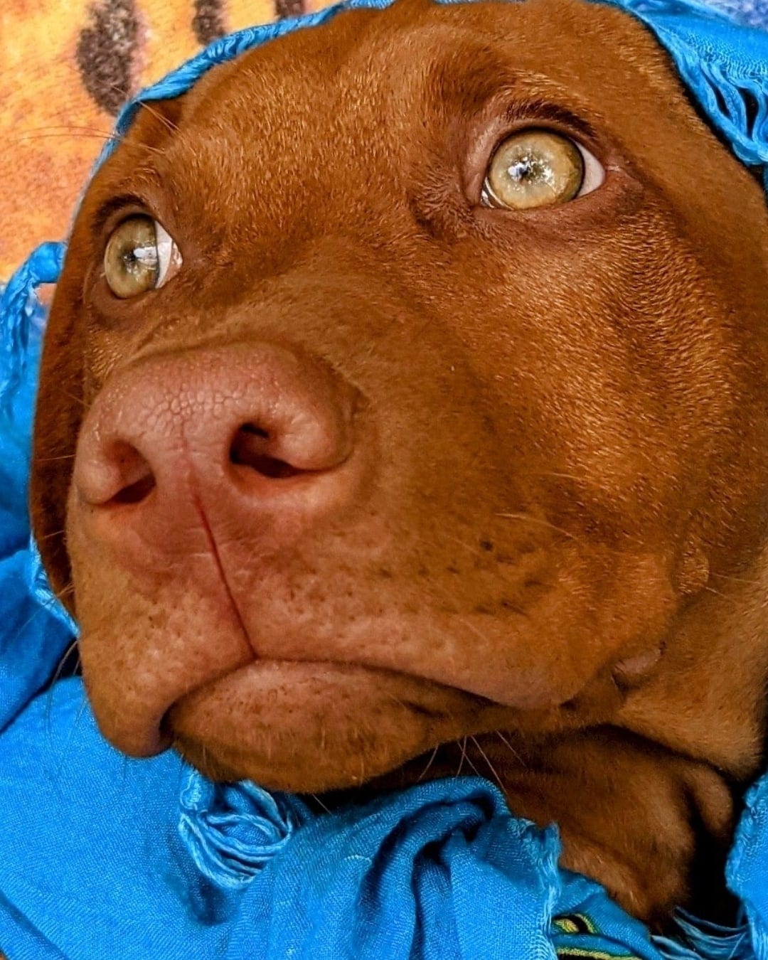 Charlie