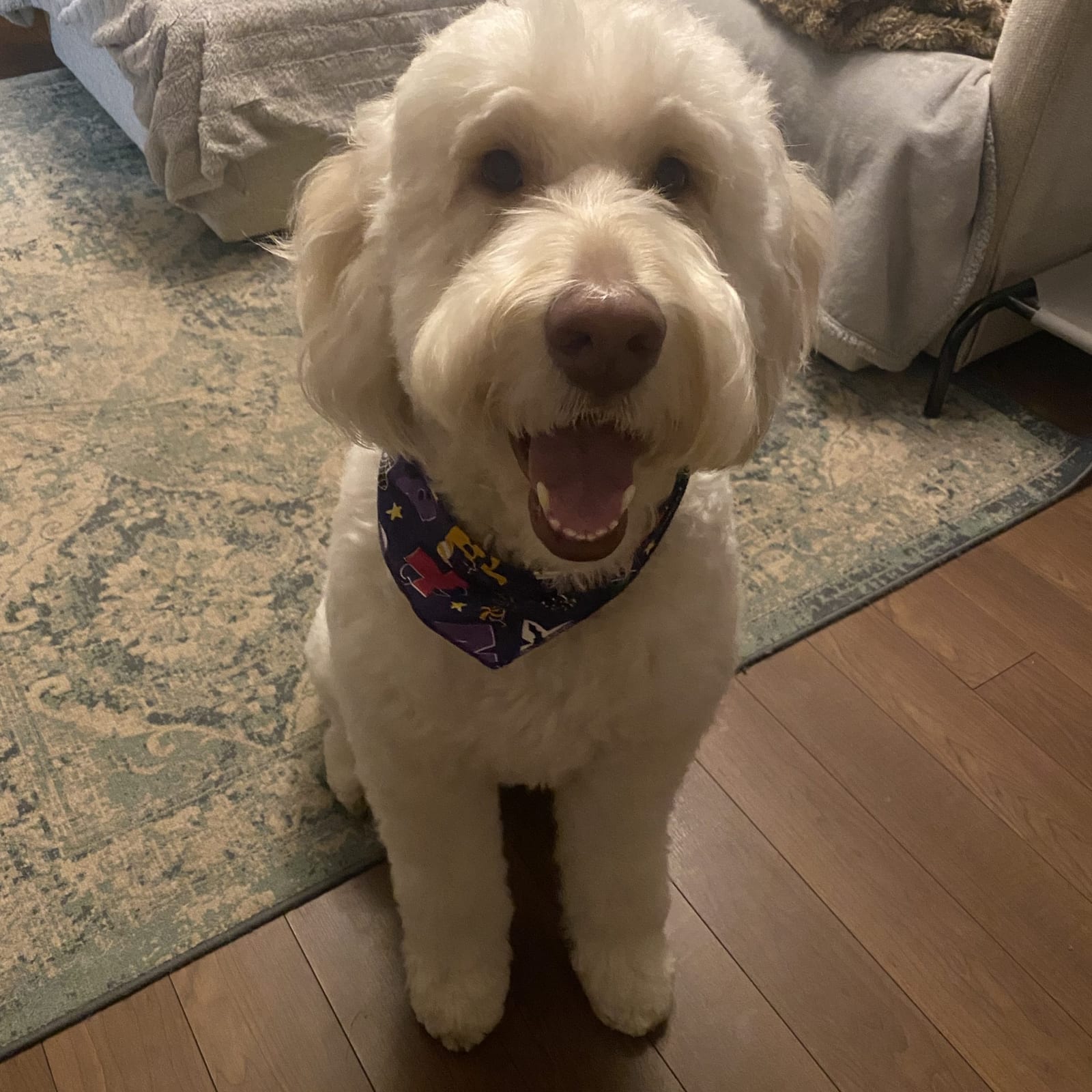 Finnegan