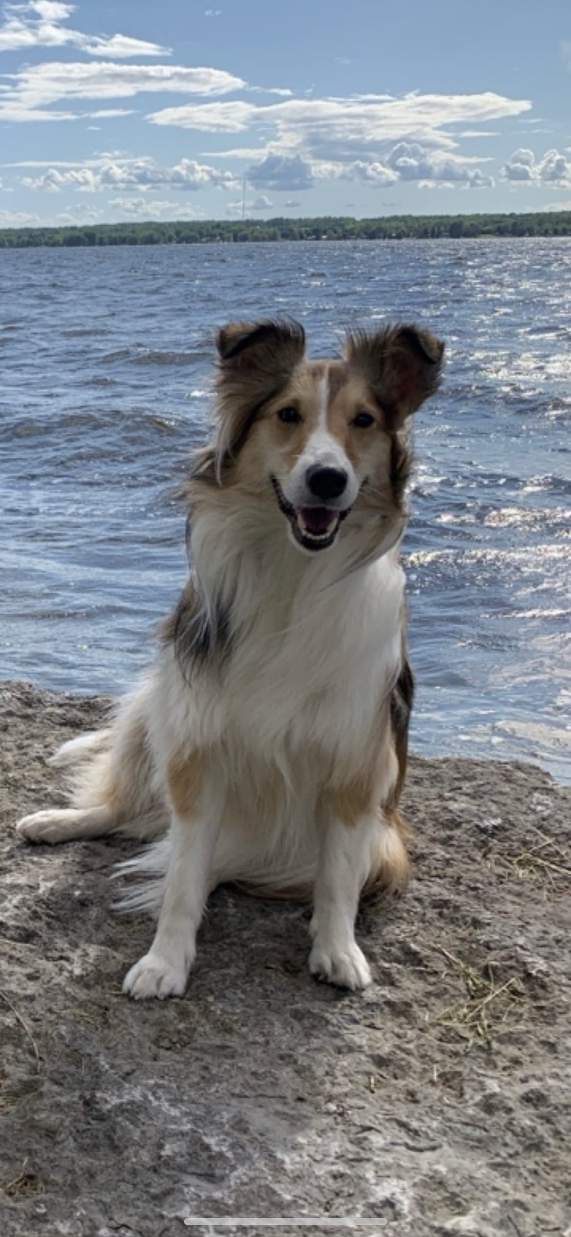 Mia