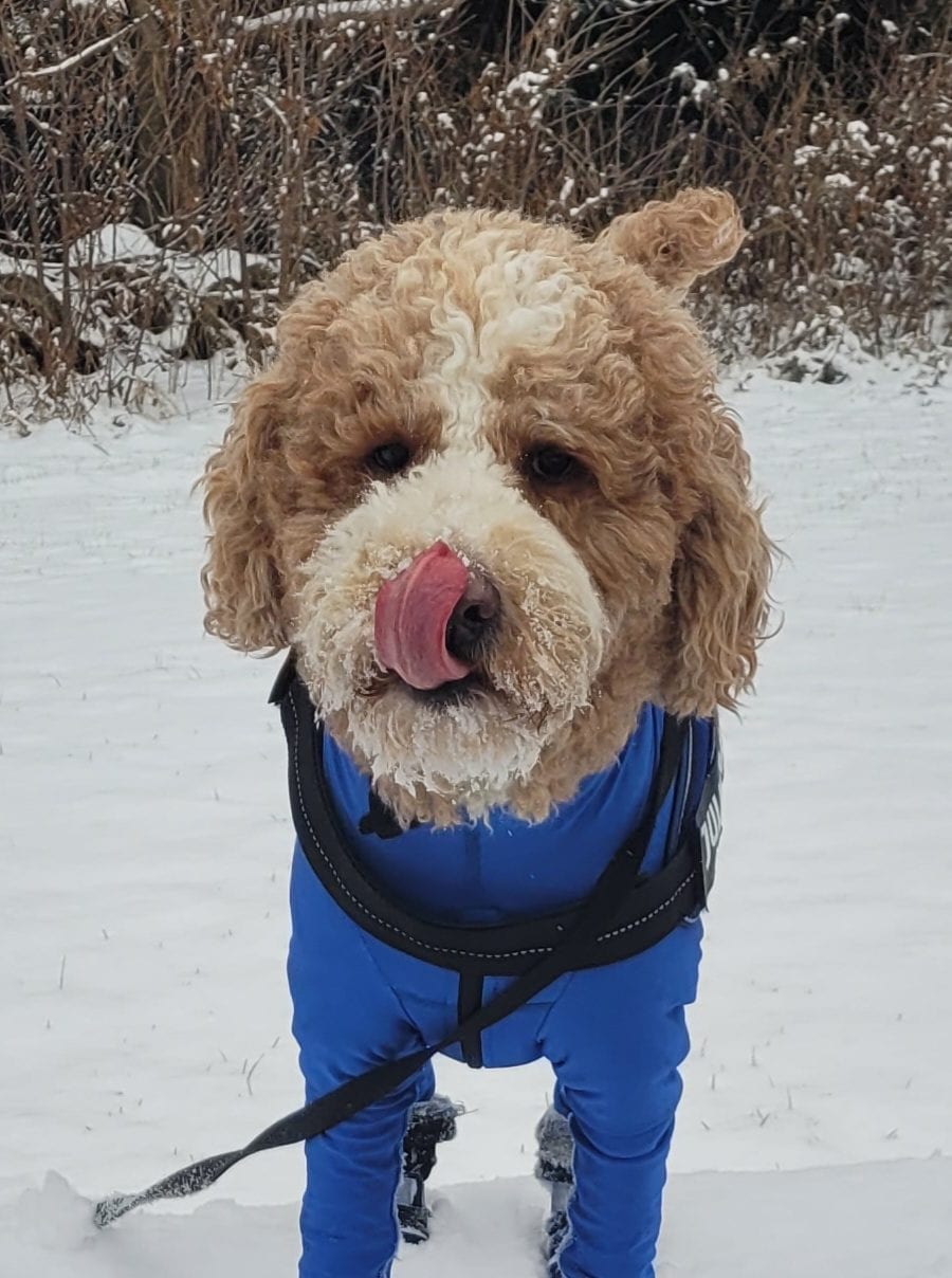 Murphy