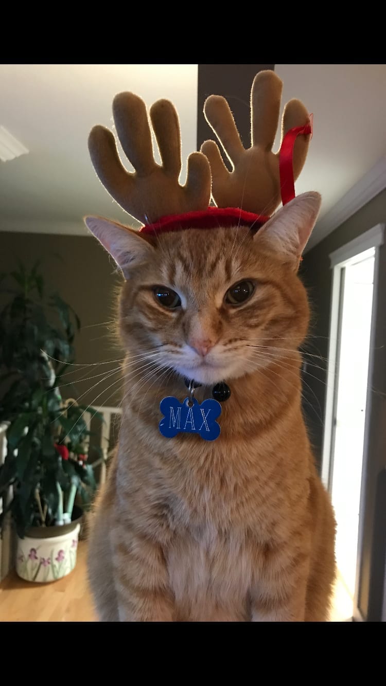 Max