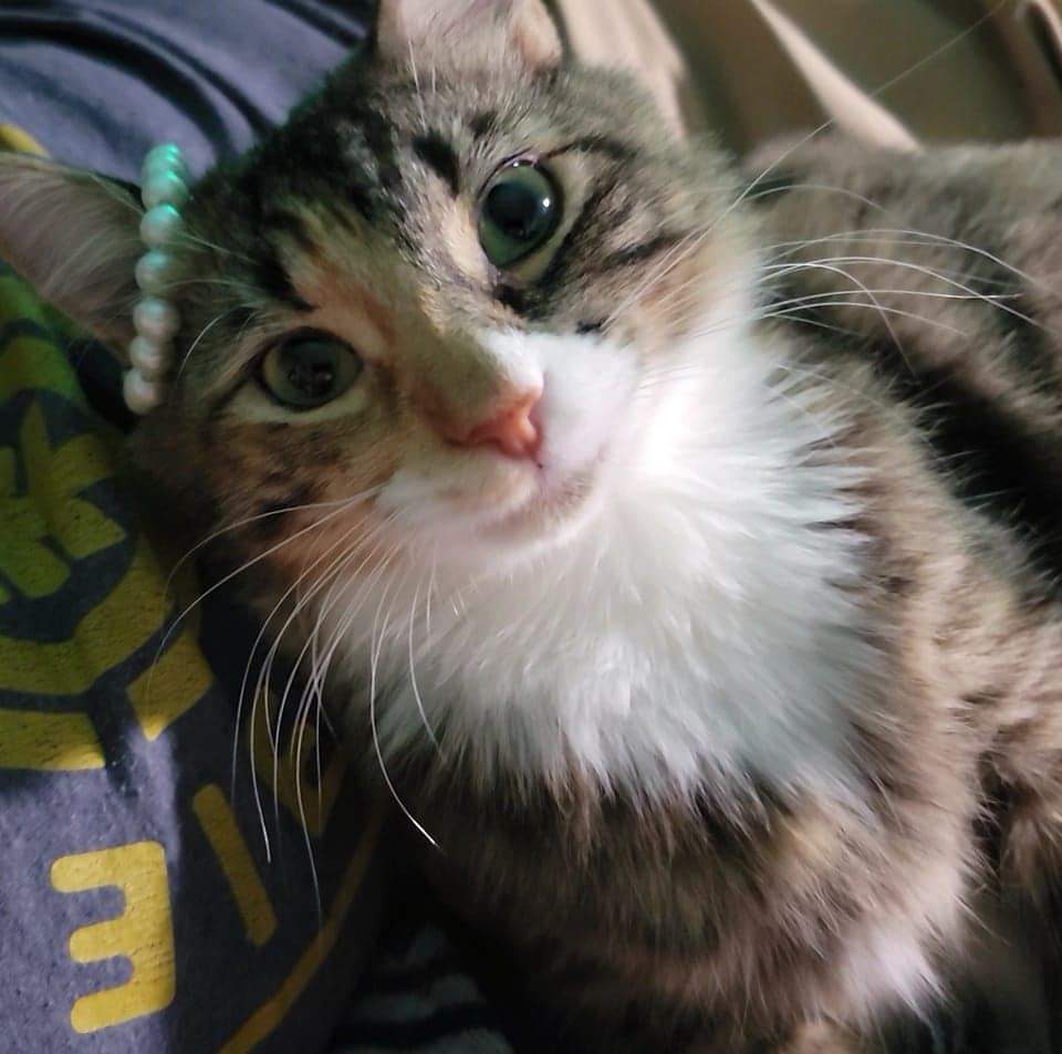 Freya