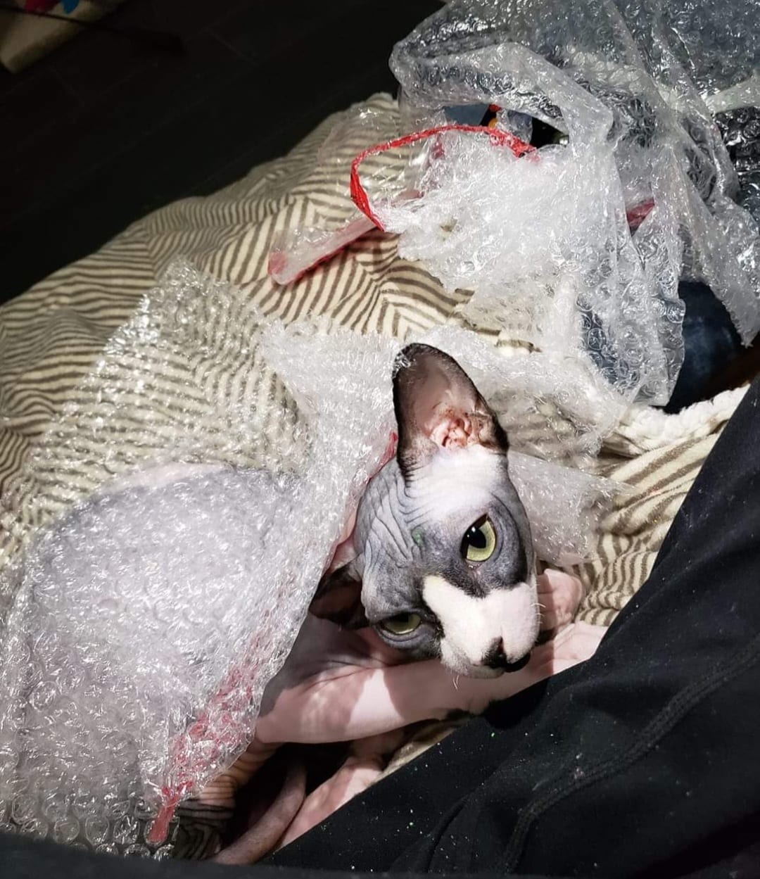 Smeagol