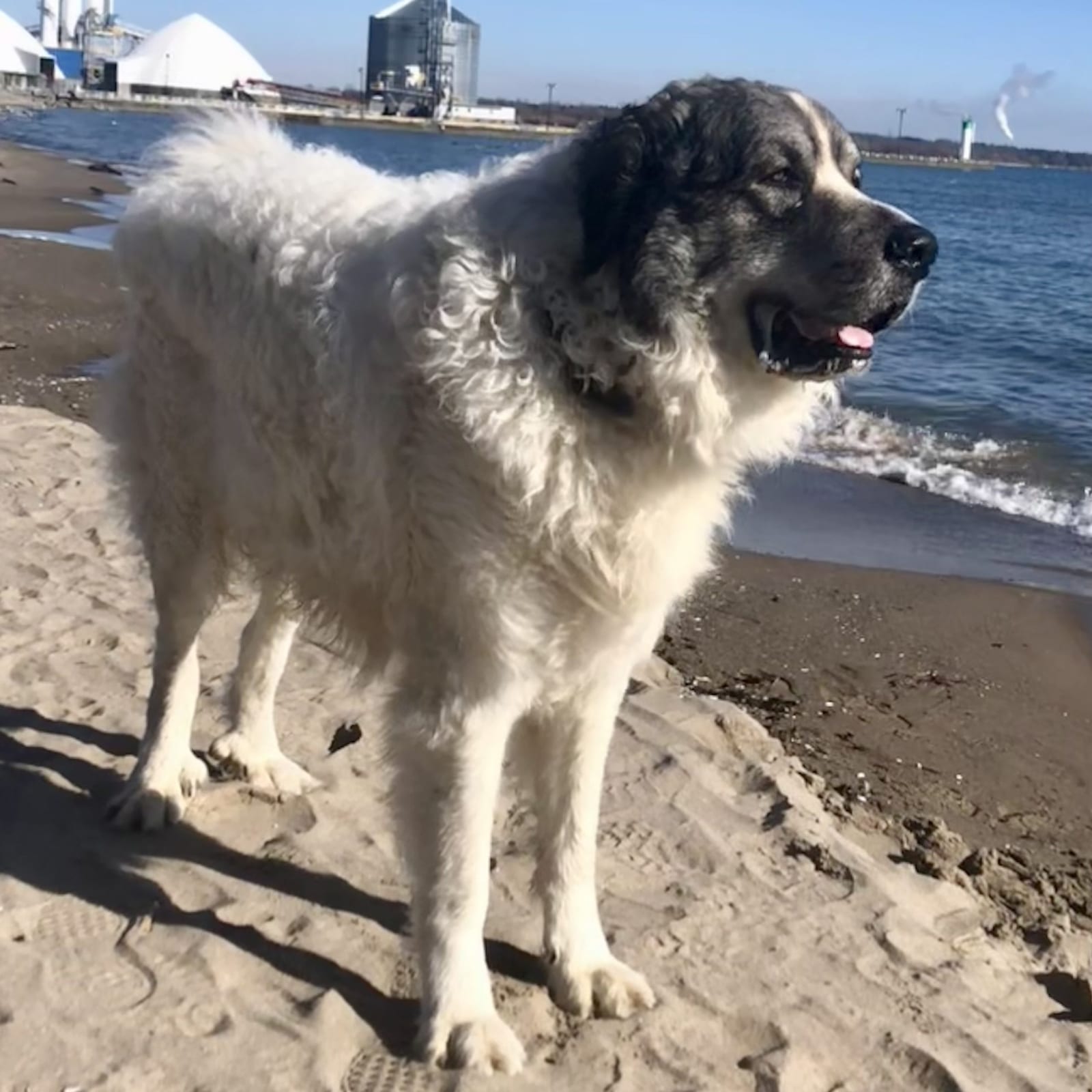 Benny
