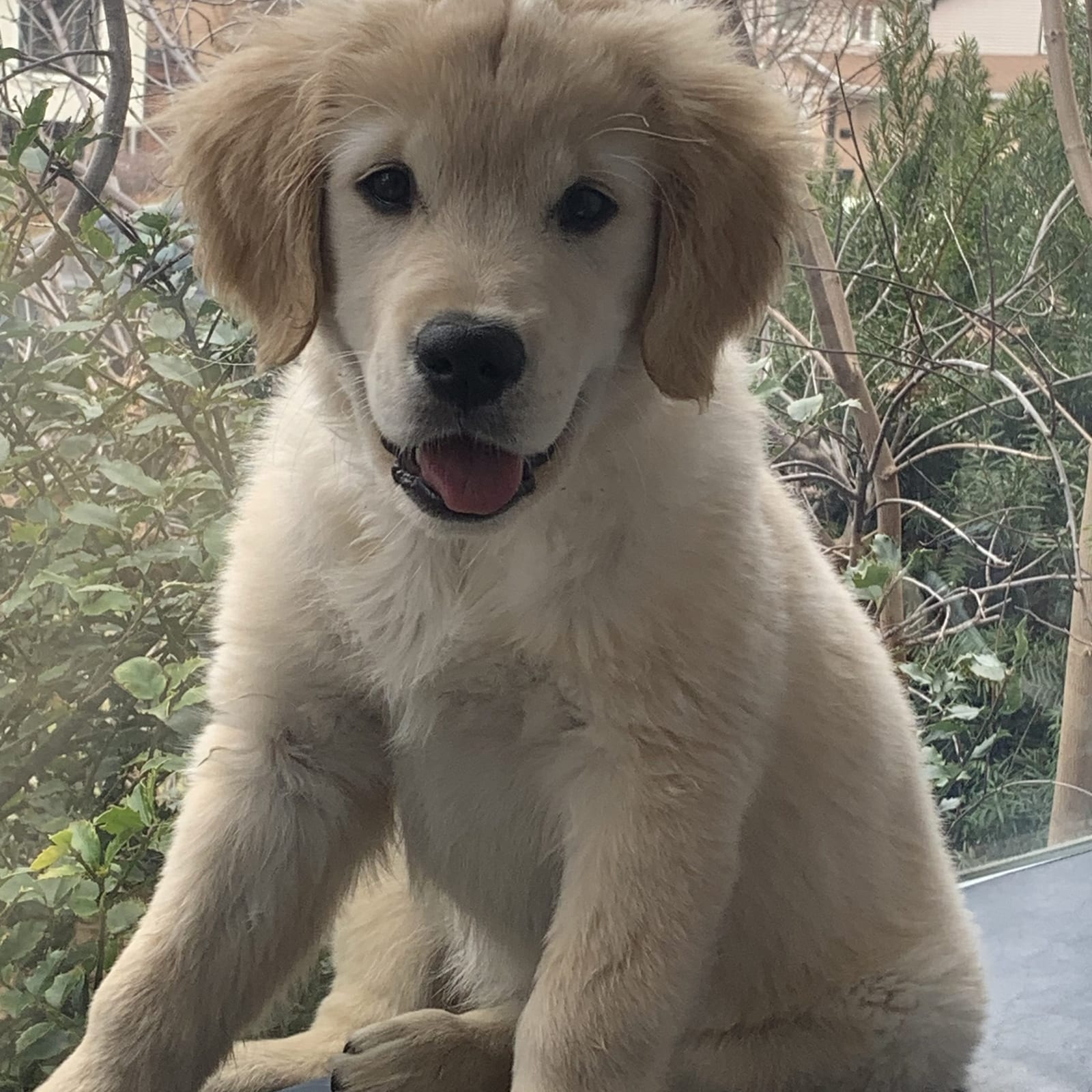 Luna