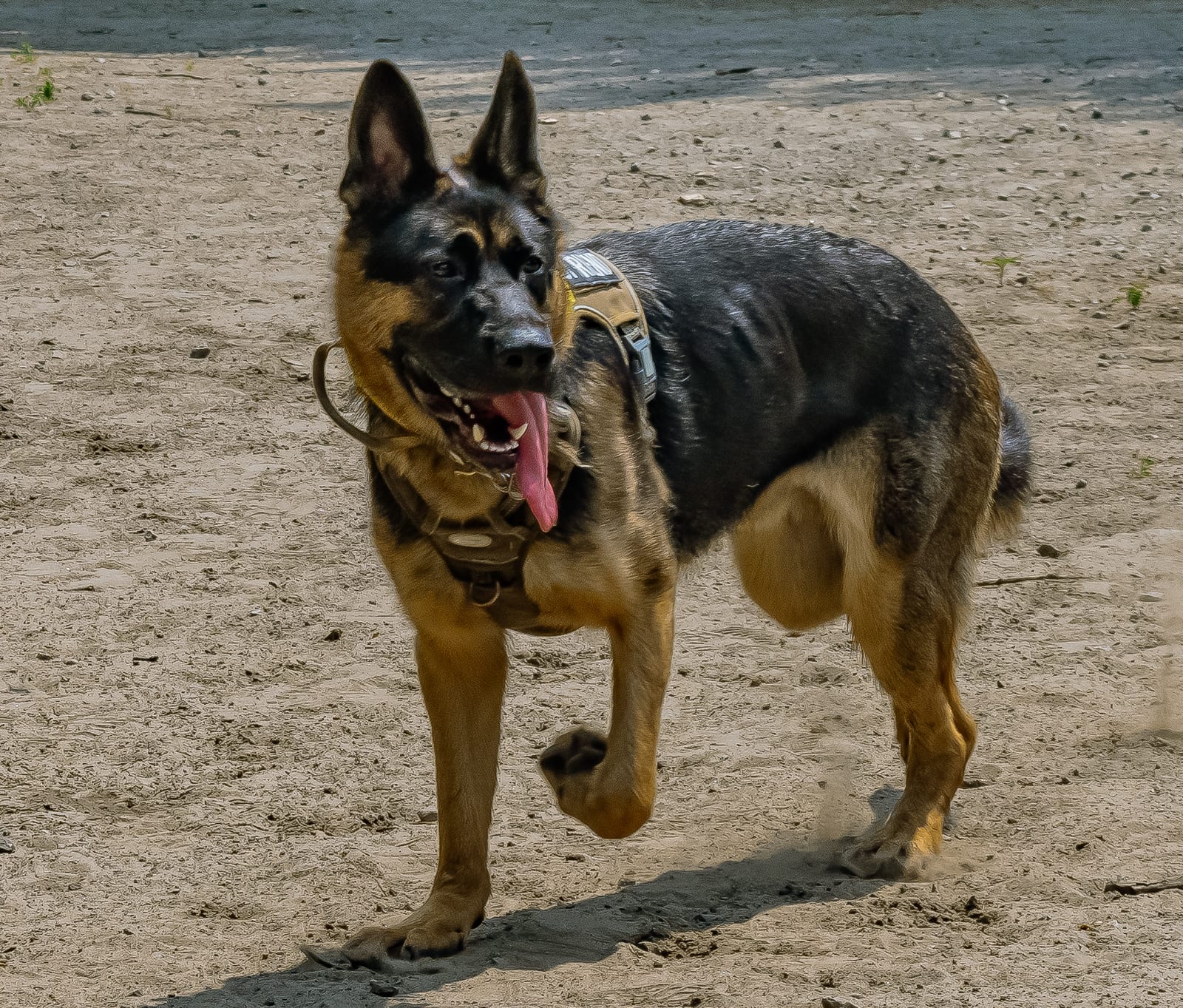 Pluto