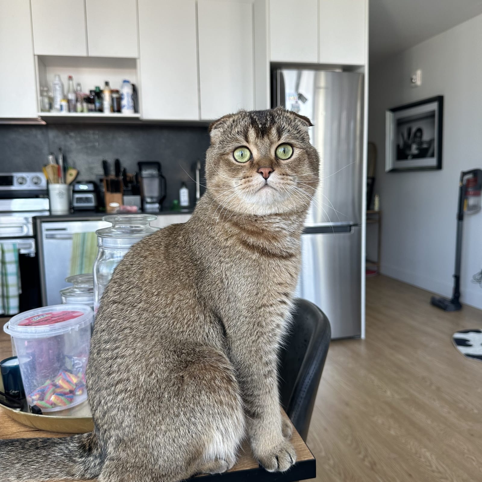 Milo