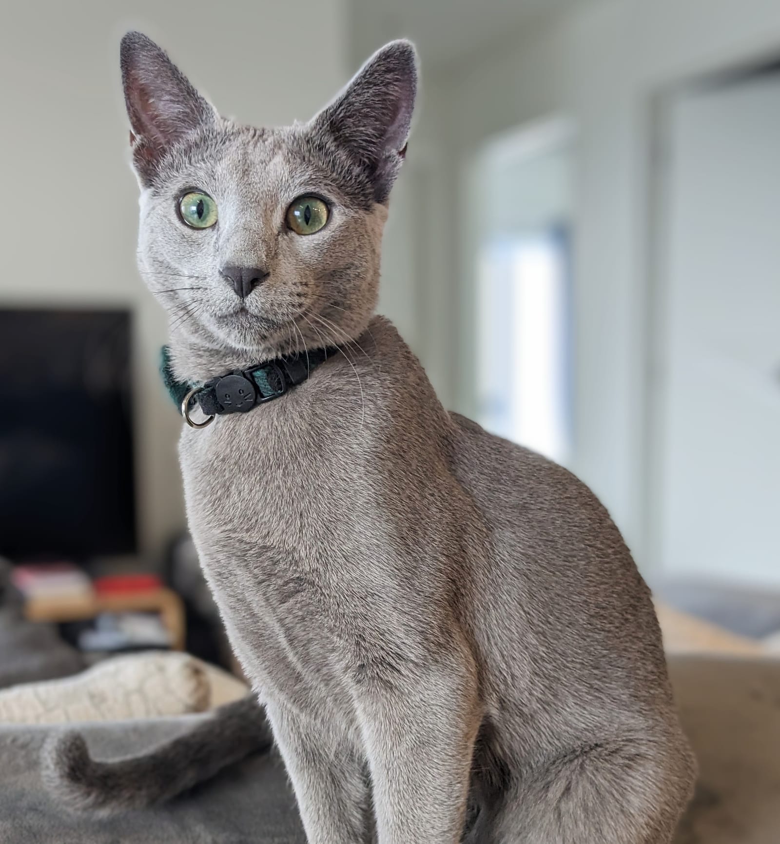 Eugene