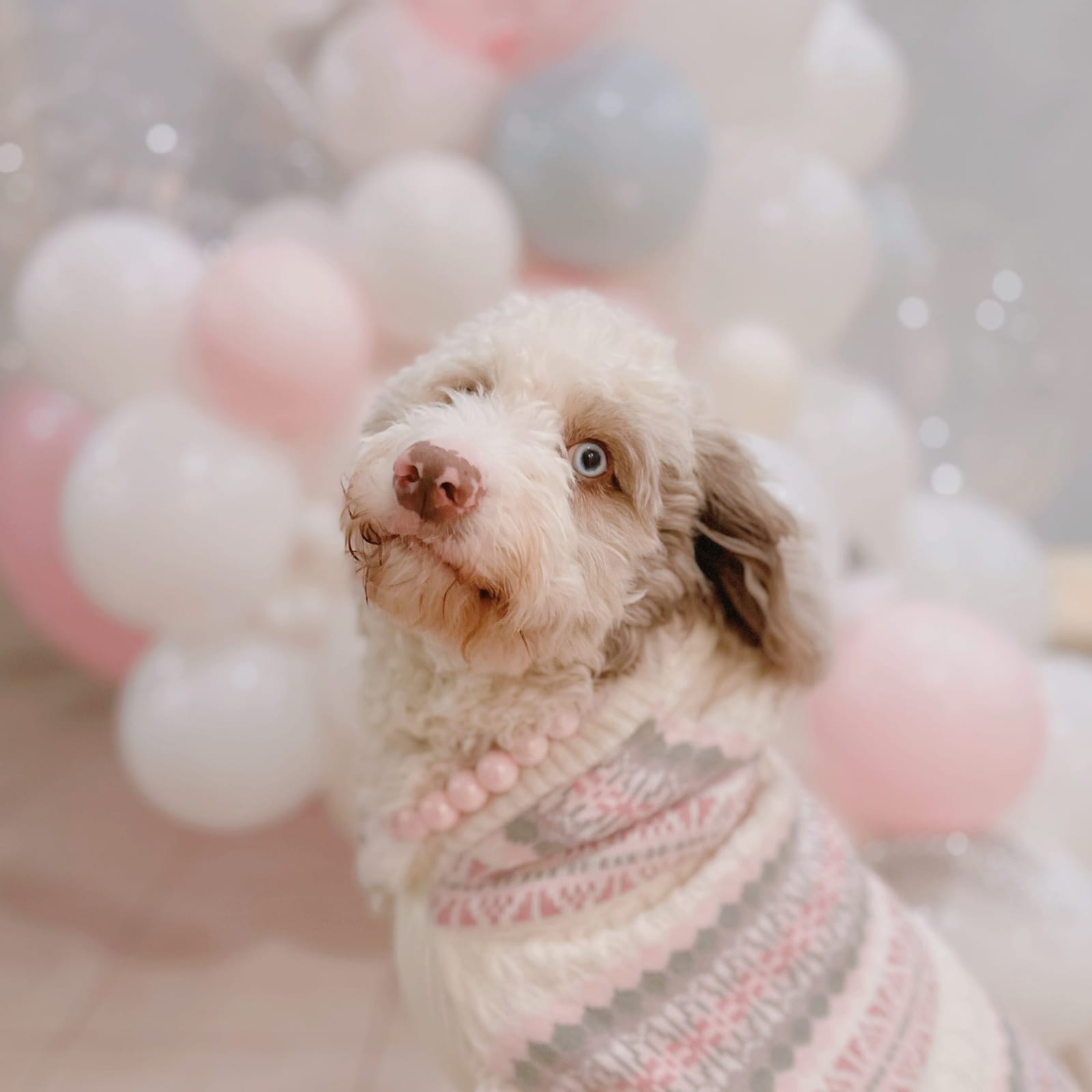 Sugar