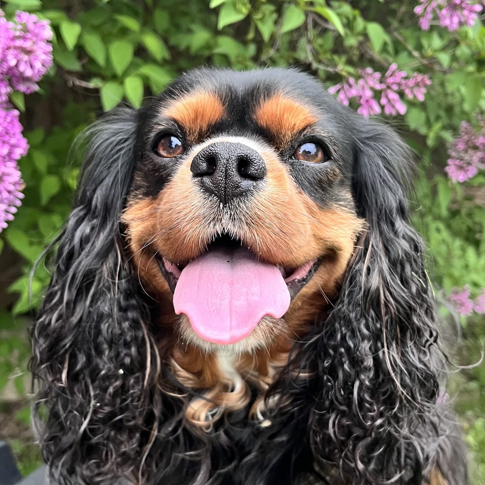 Huxley