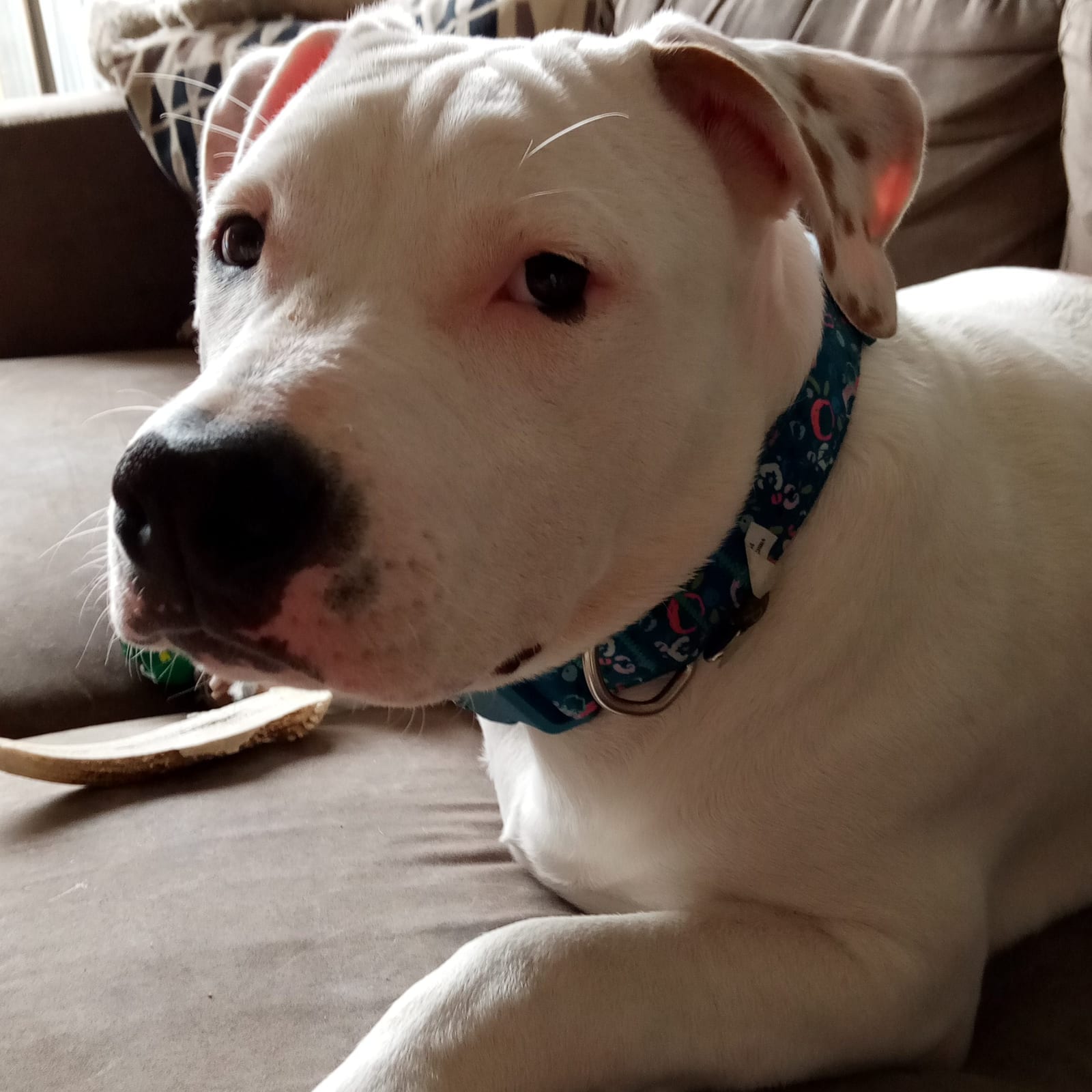Lucy