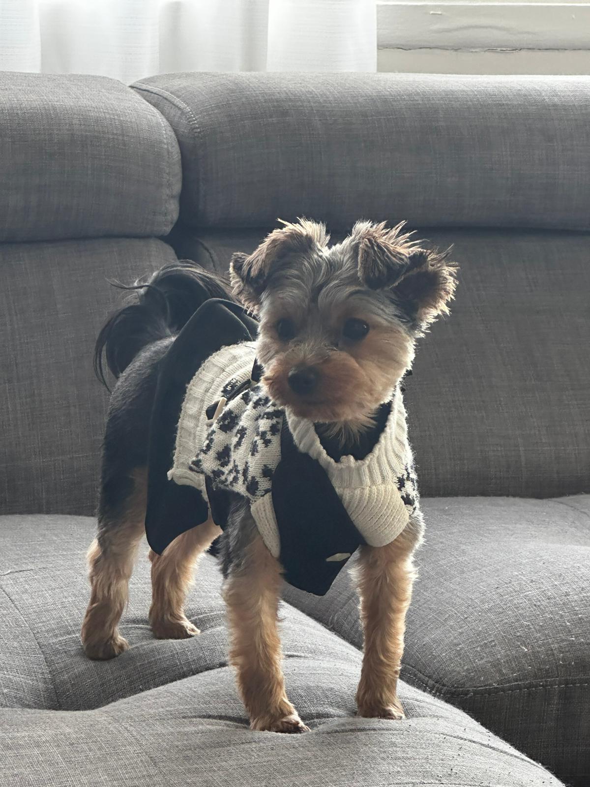 Ellie
