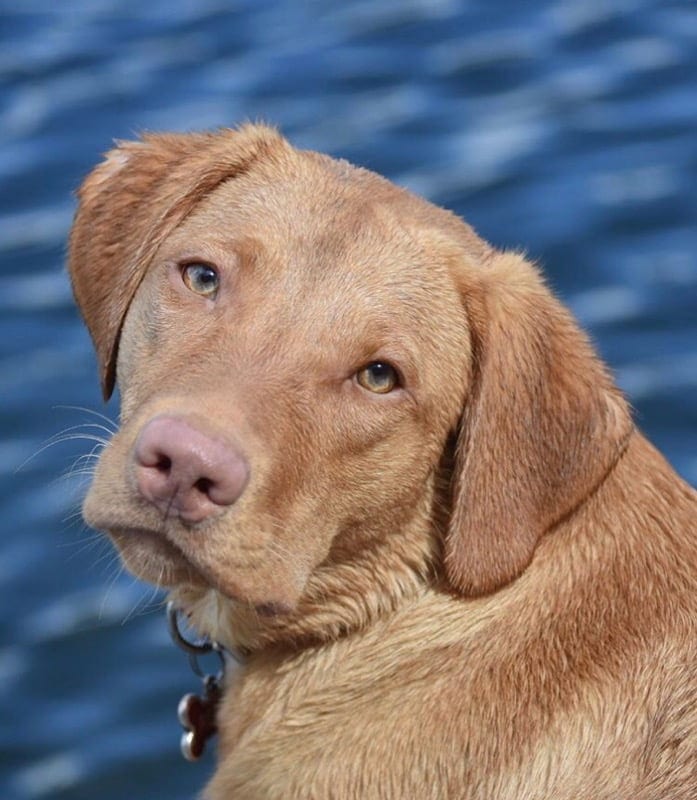 Remington
