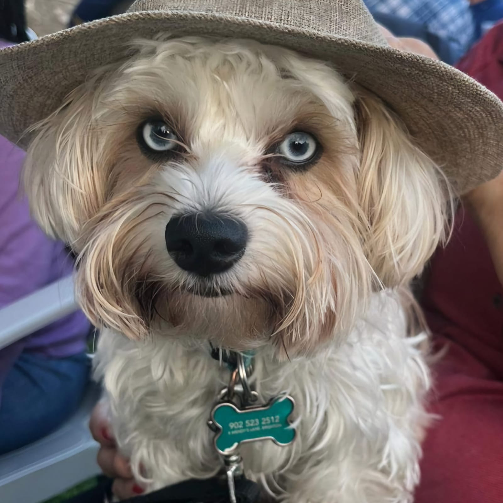 Sammy