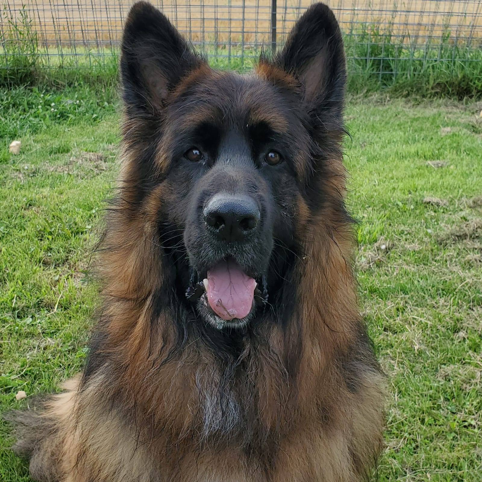 Kaizer