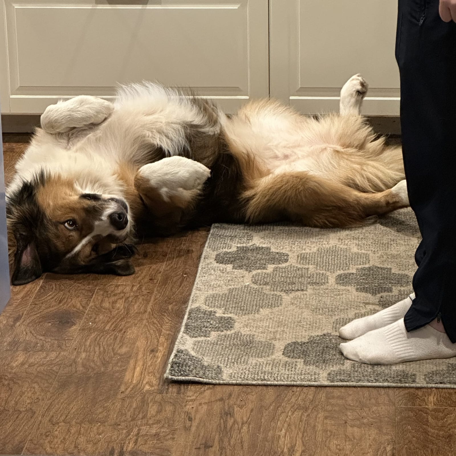 Sophie
