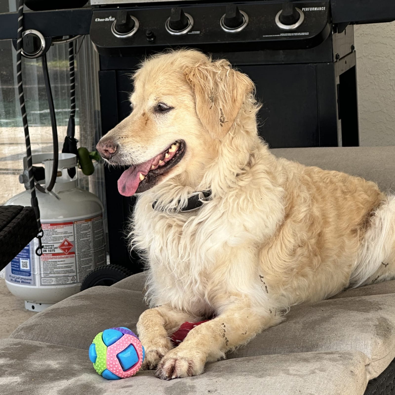 GRACIE