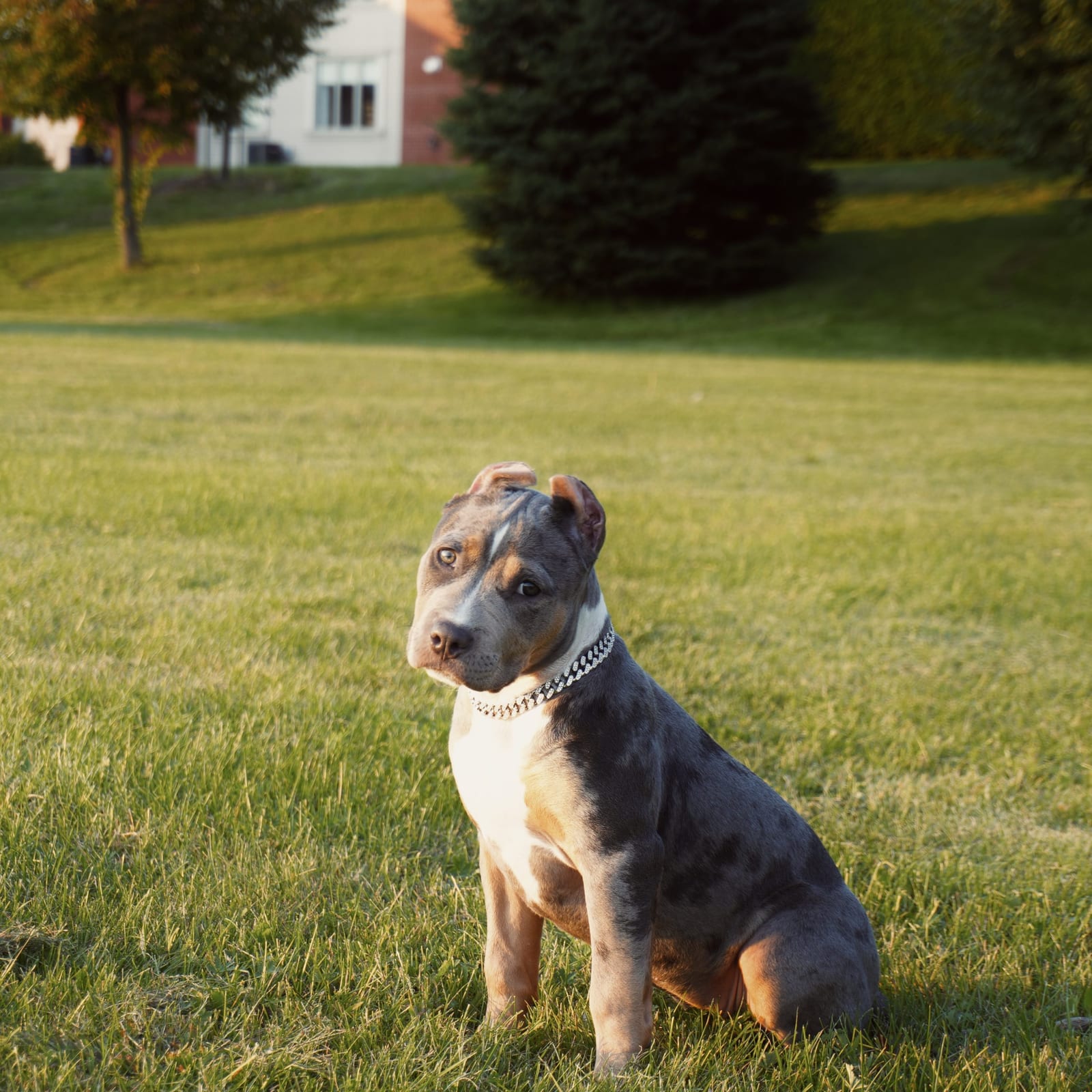Stryka