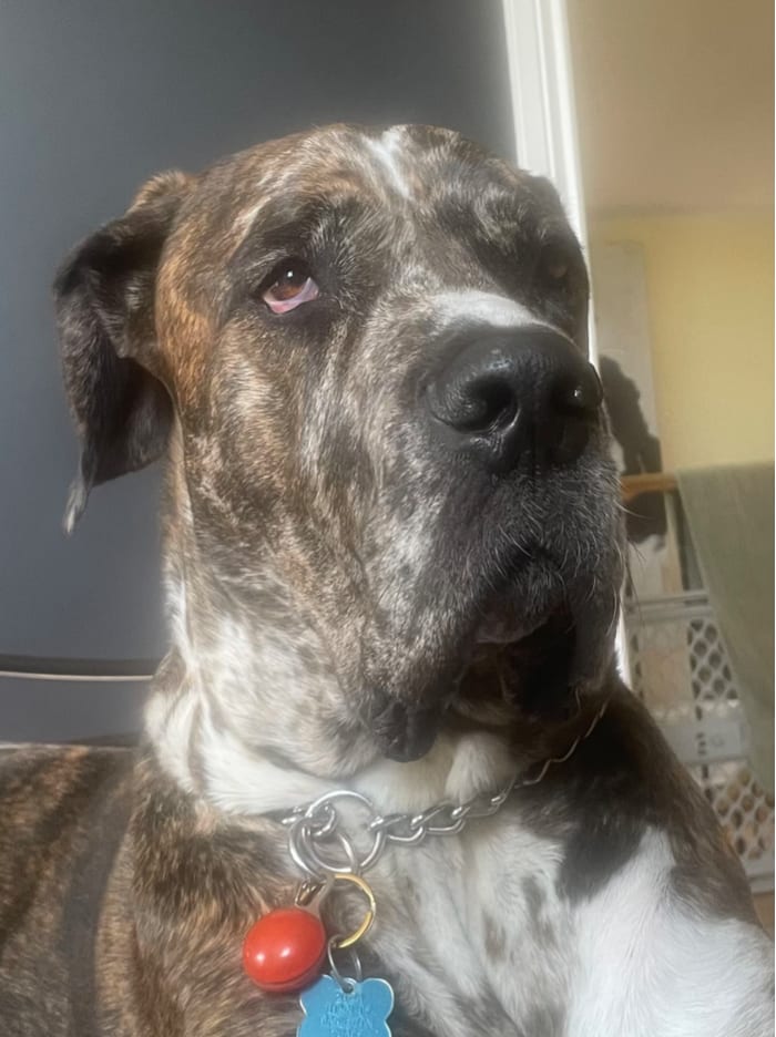 HEMI
