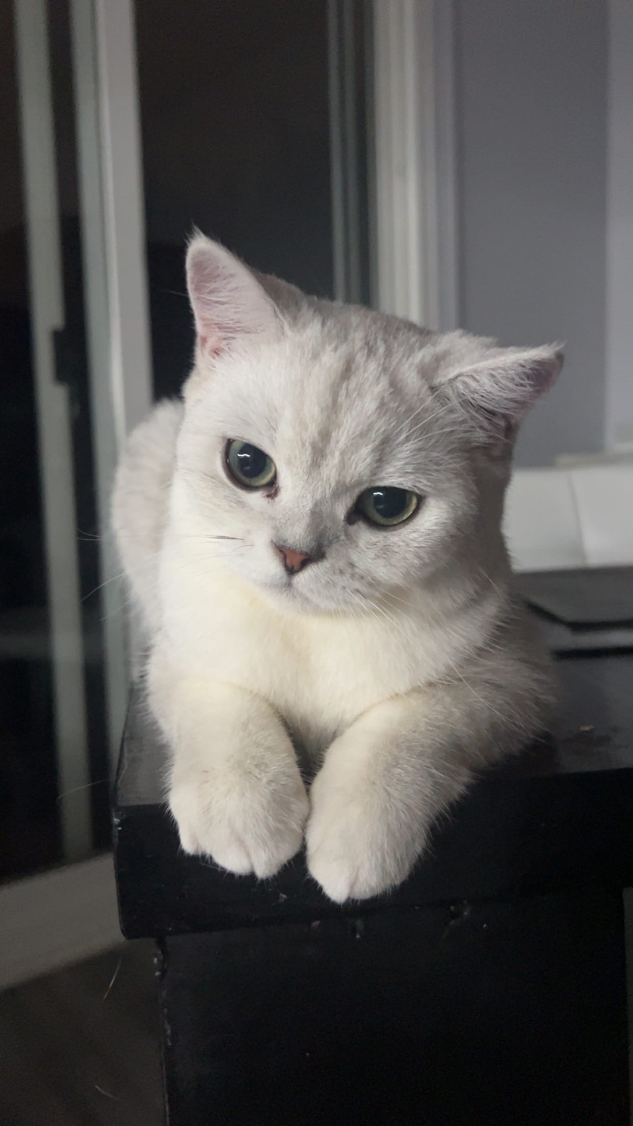 Milky