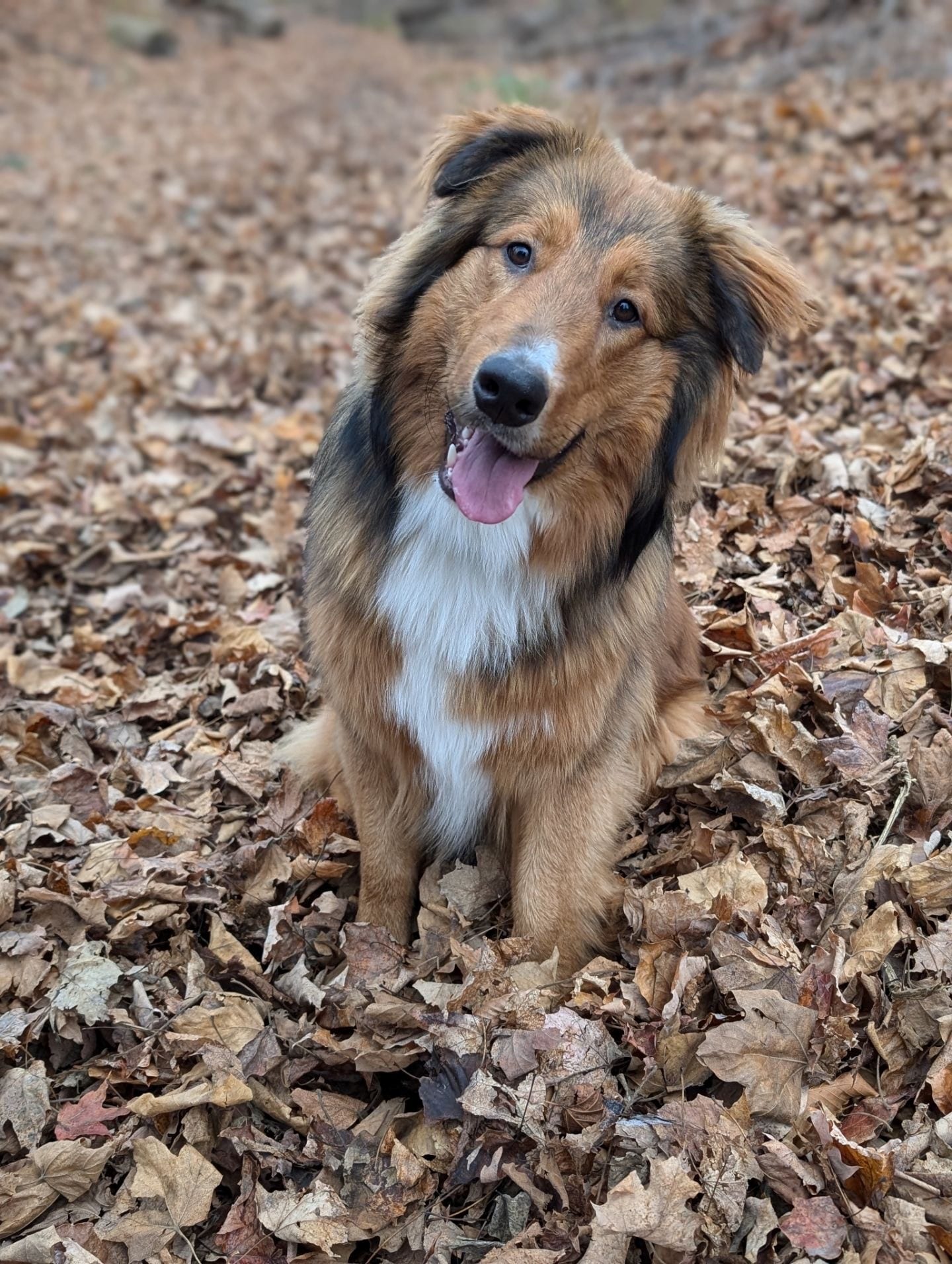 Charlie