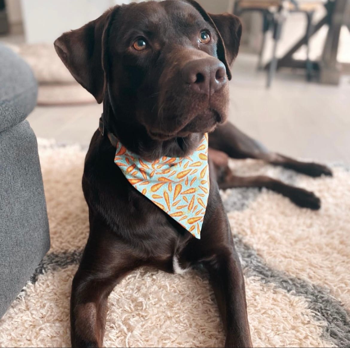 Milo