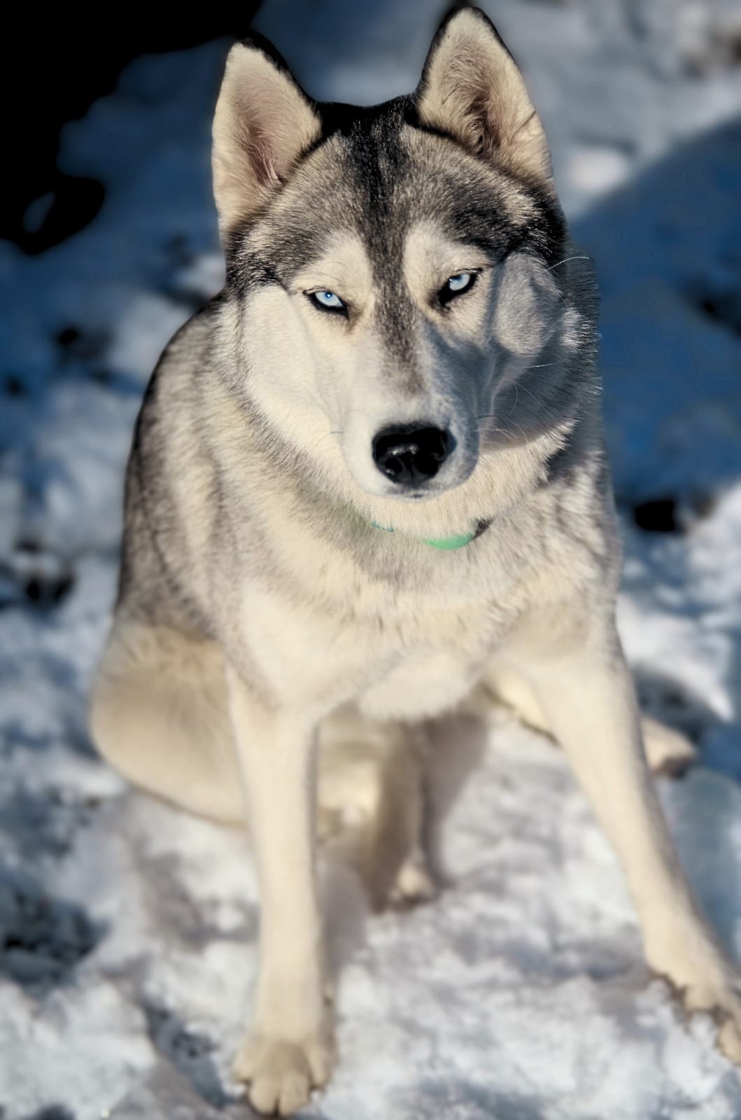 Kaia