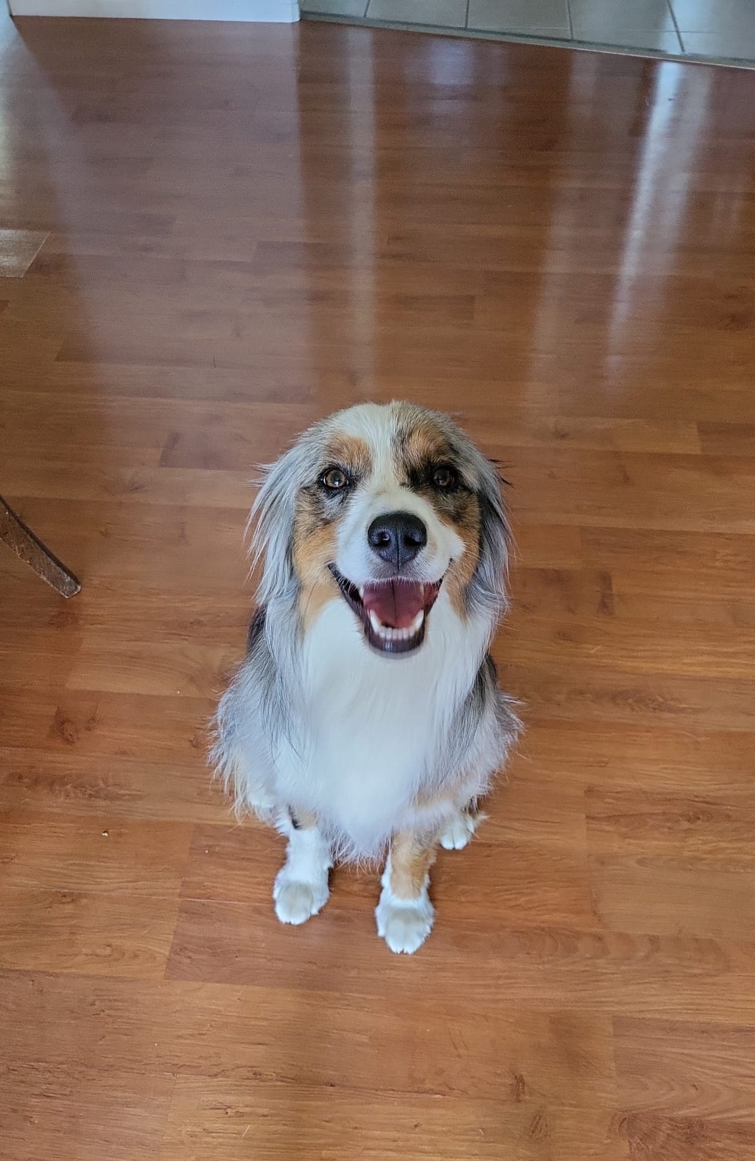 Pablo