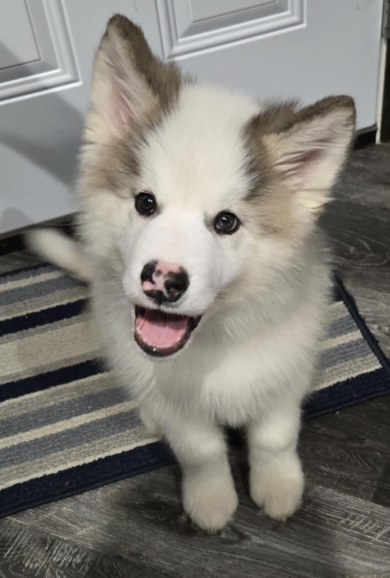 Ares