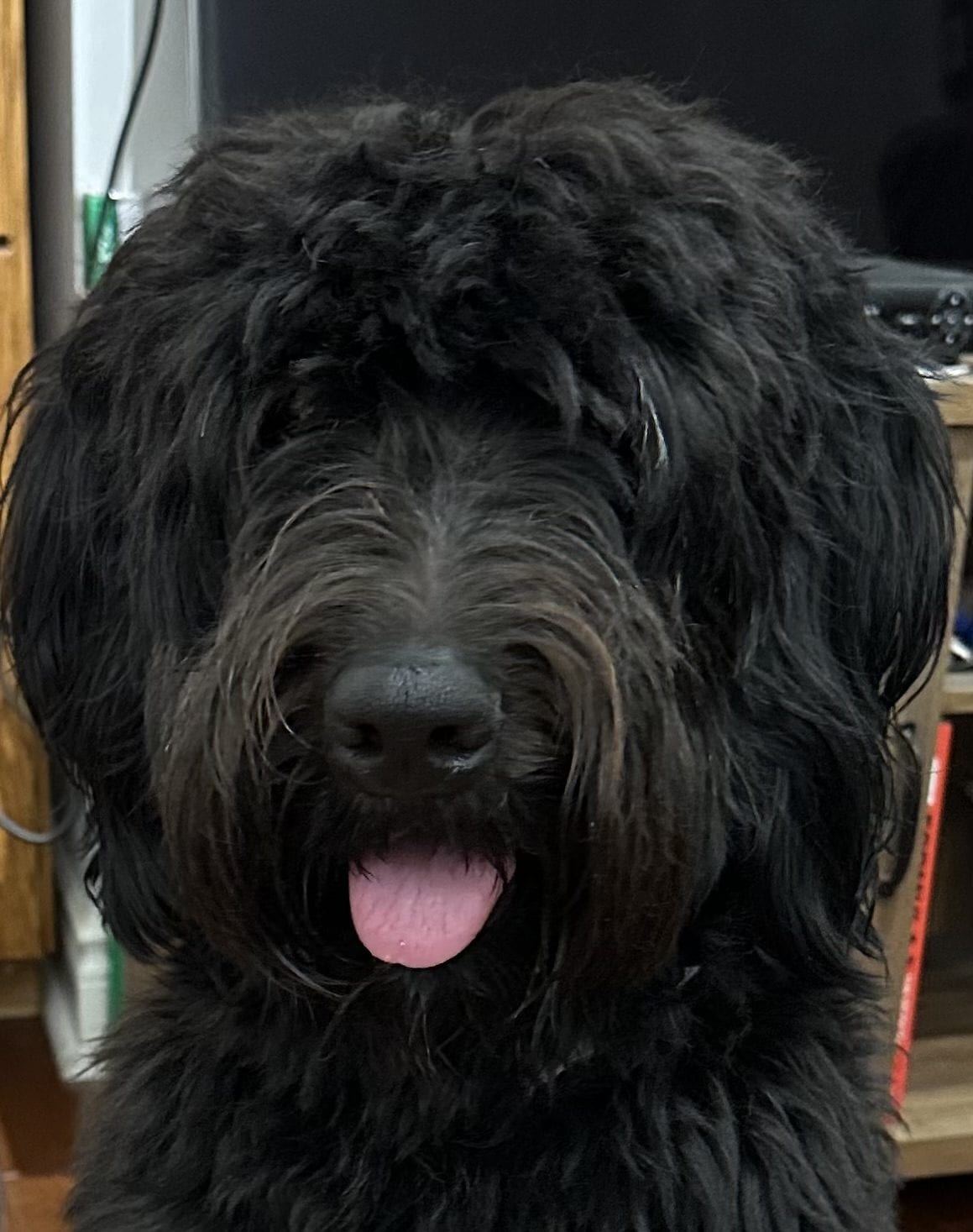 Winnie