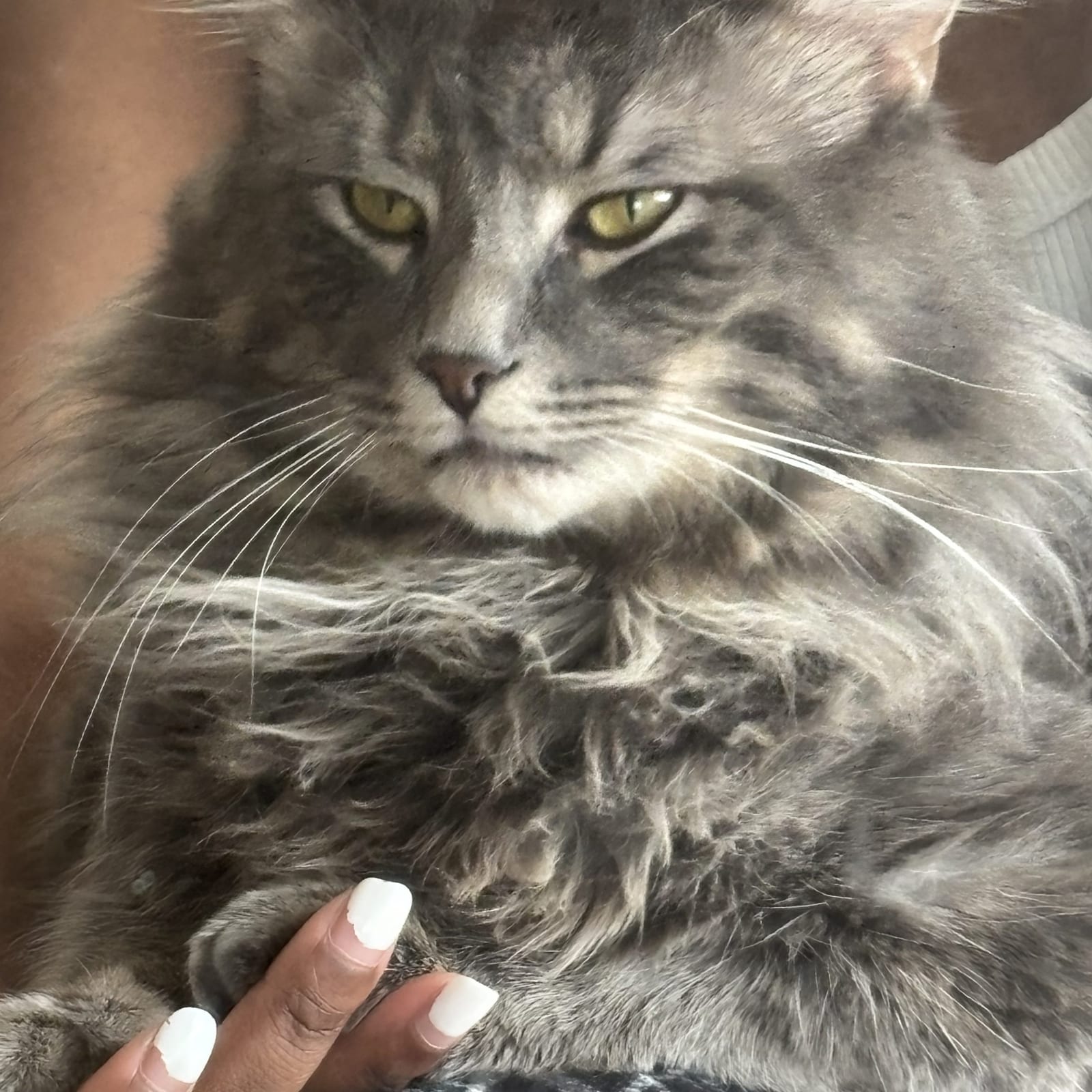 Milo dior