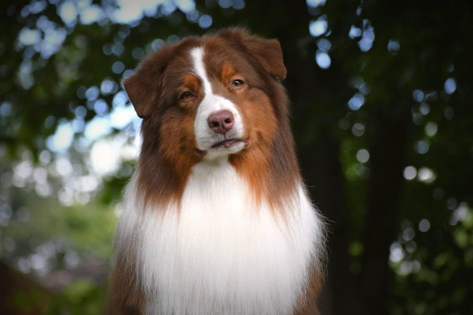 Rigby