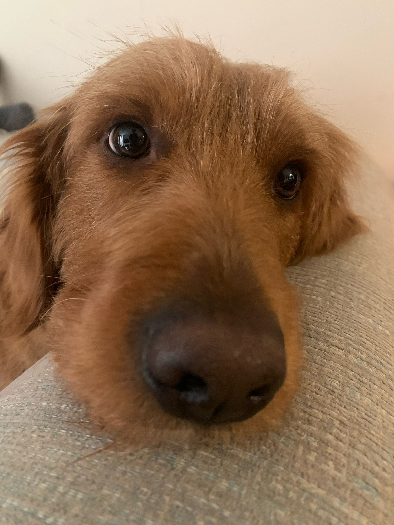 Riku