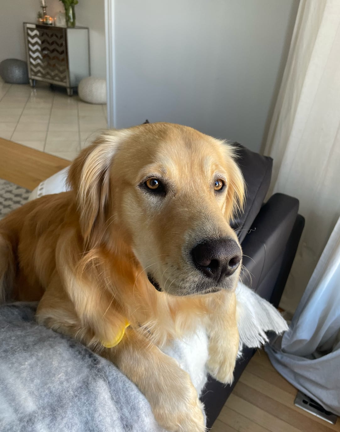 Milo
