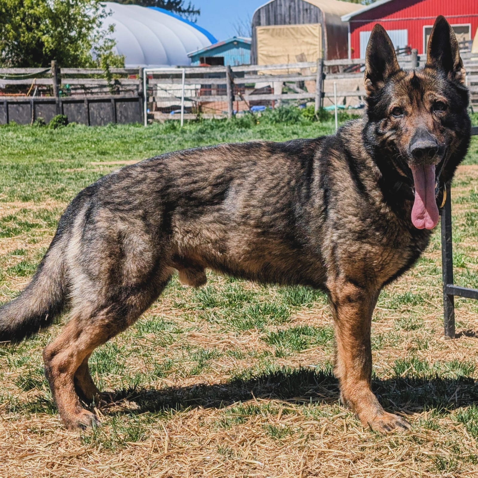 Ares
