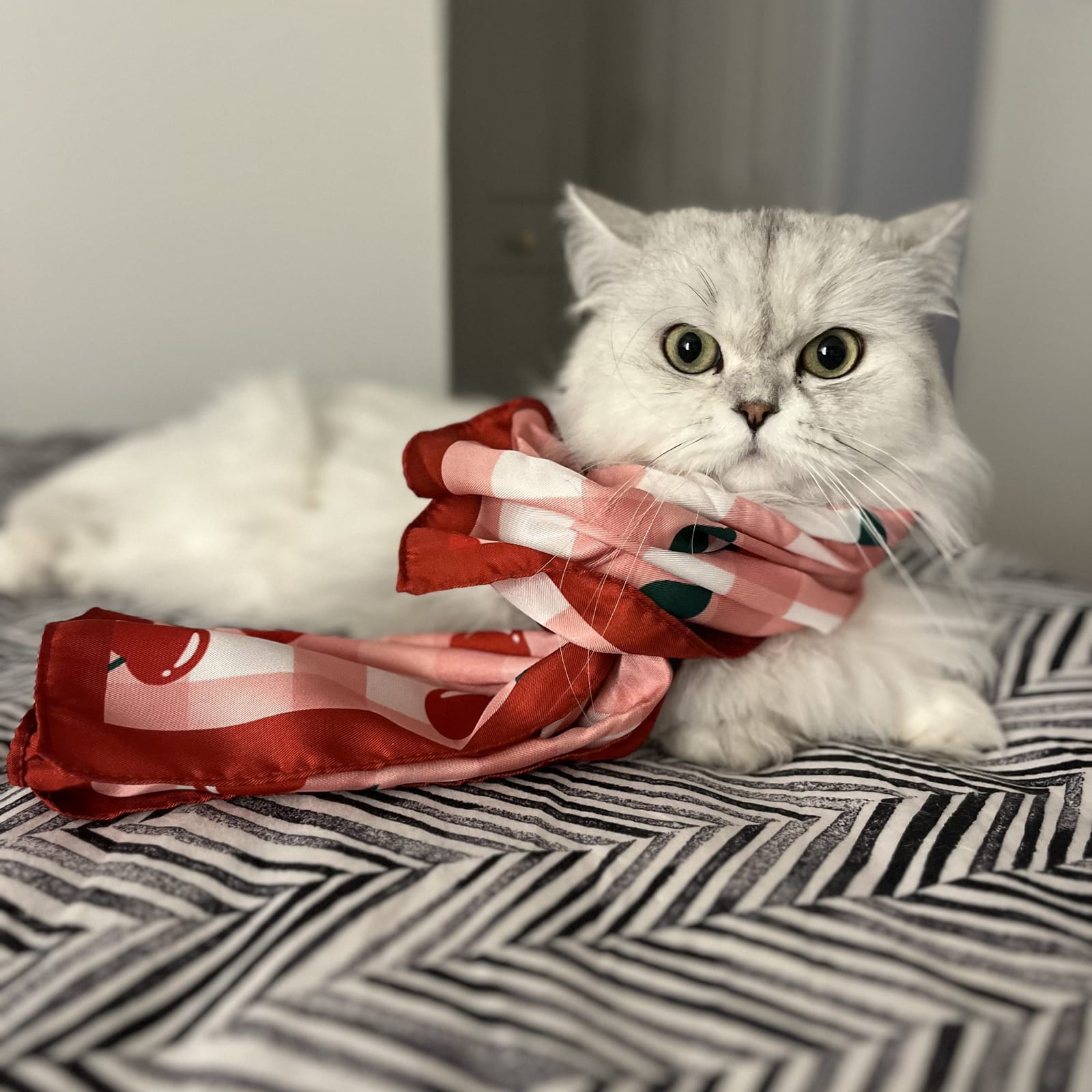 Zoe
