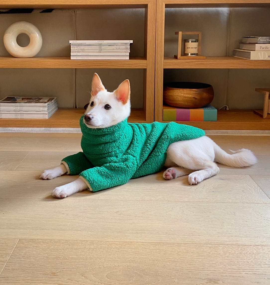Yoshi