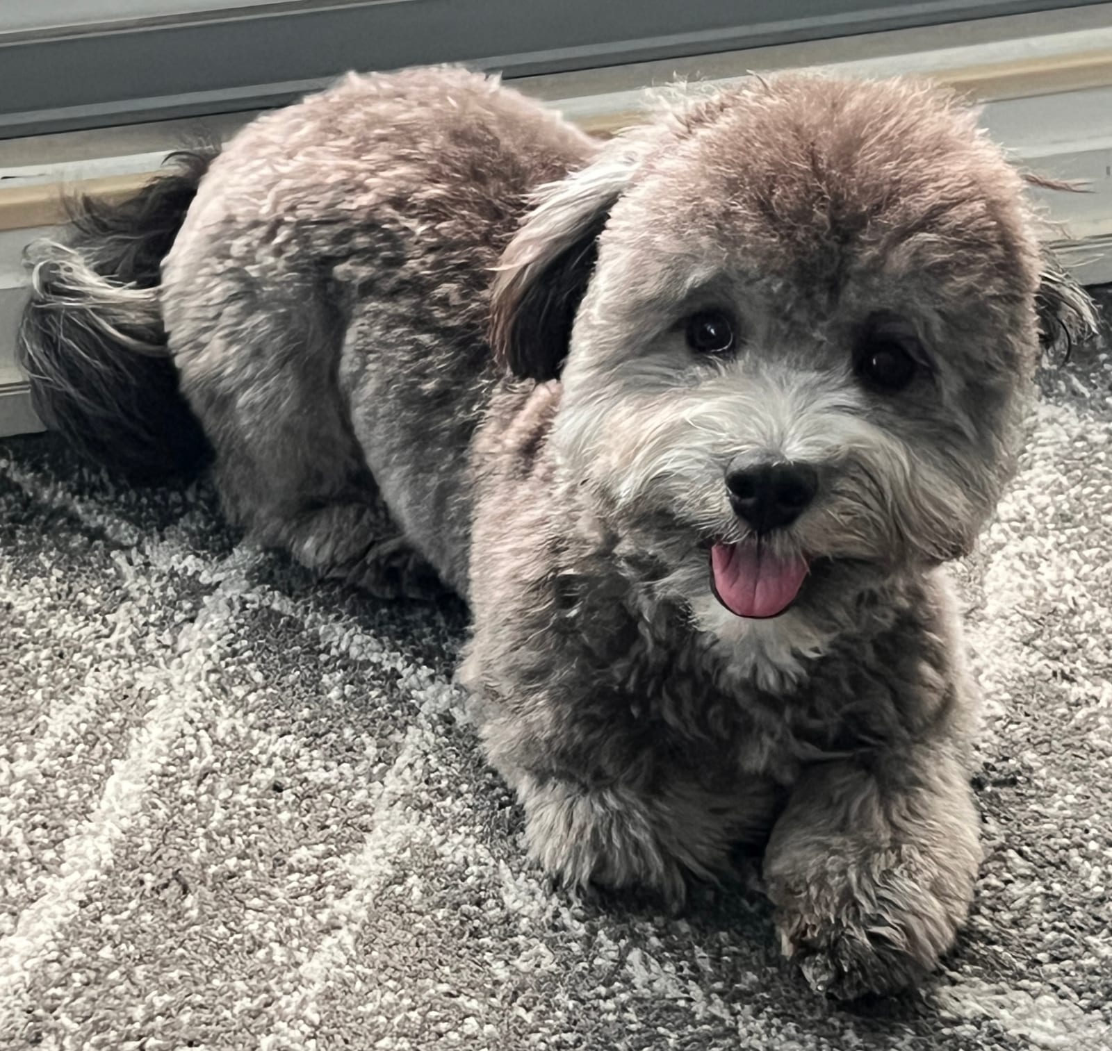 Milo