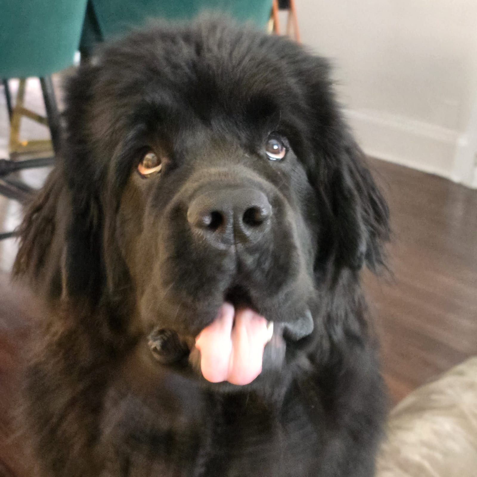 Ophelia (Ophie)