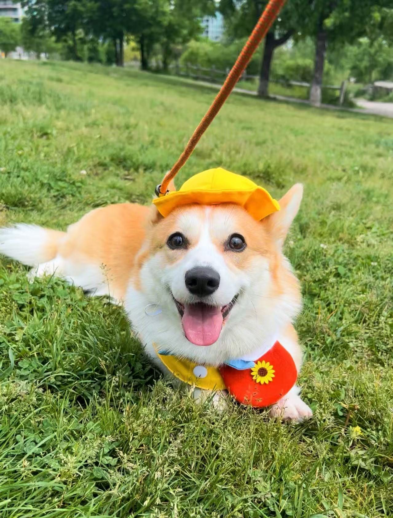 Winnie