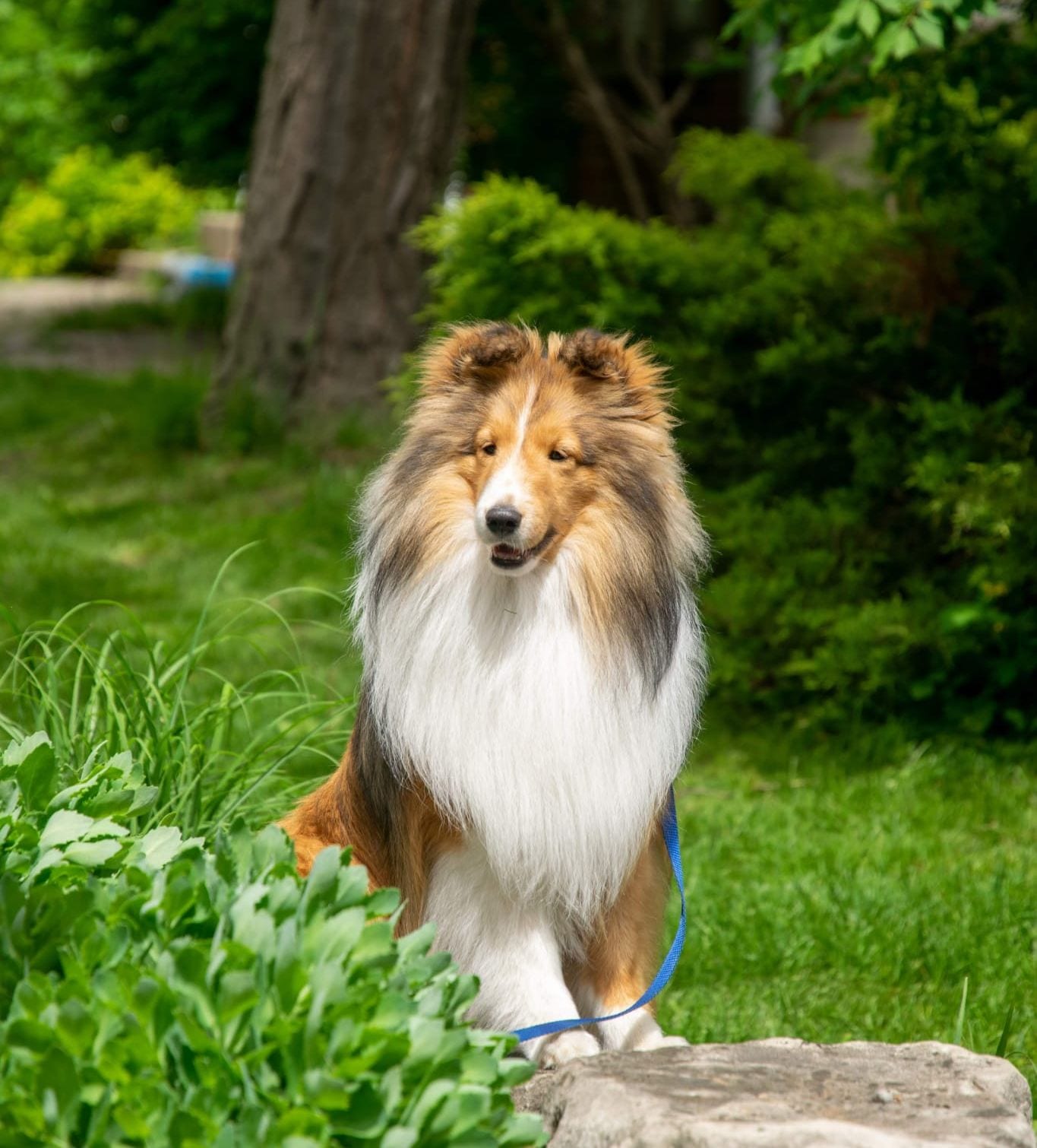 Finnegan
