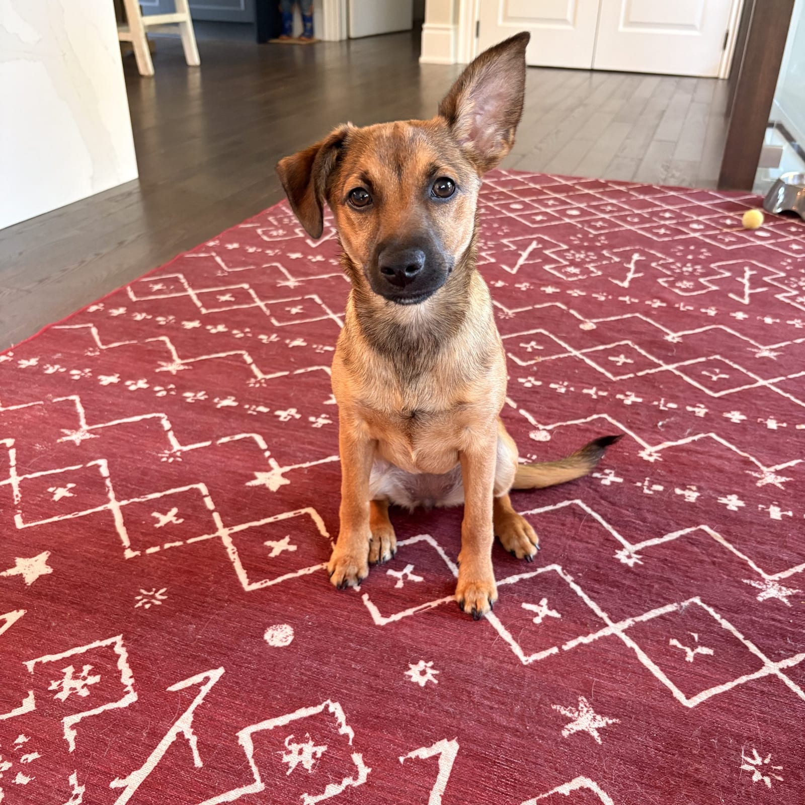 Penny