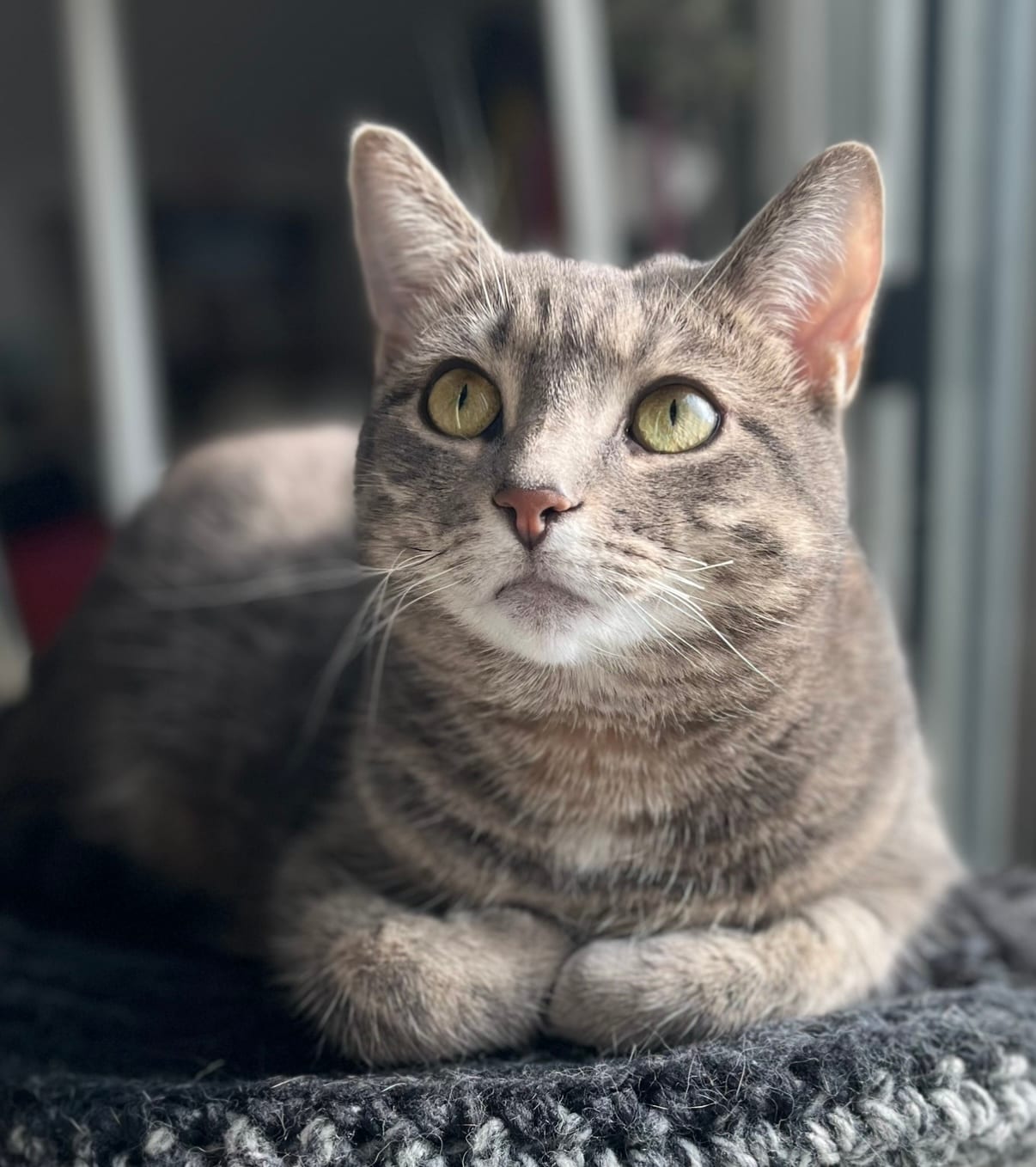 Penny