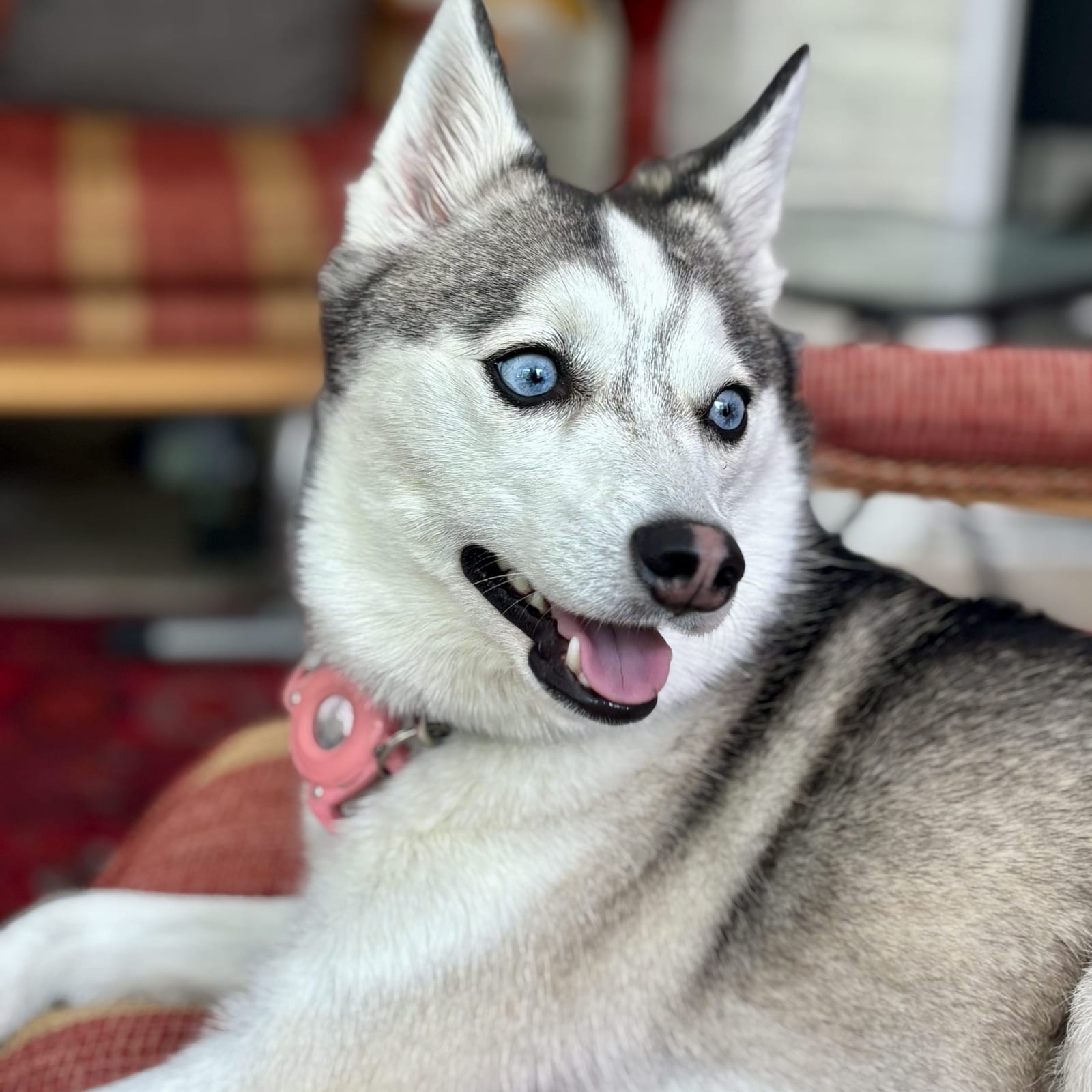 Sophie