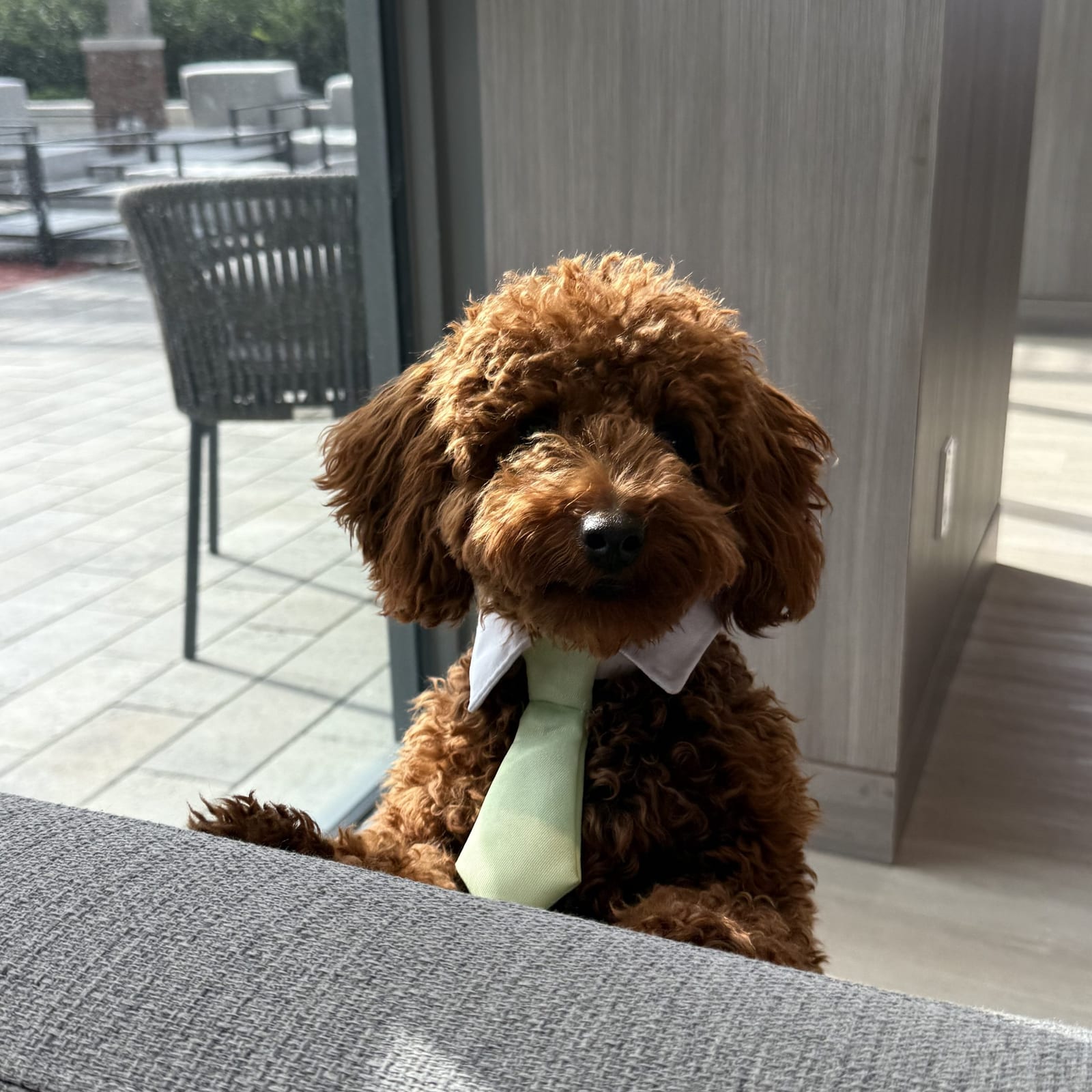 Milo