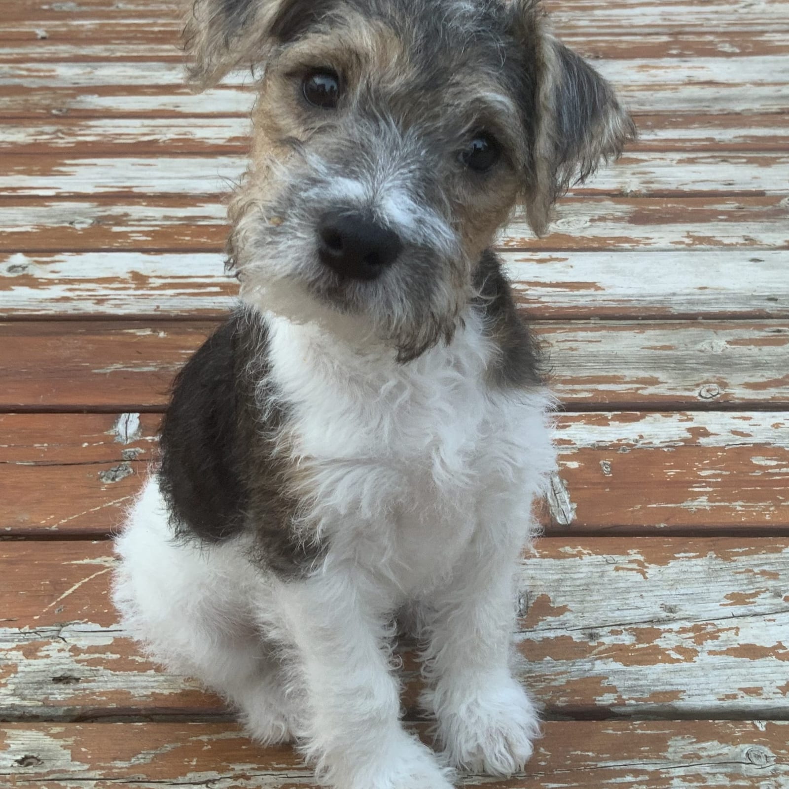 Winston Bartholomew